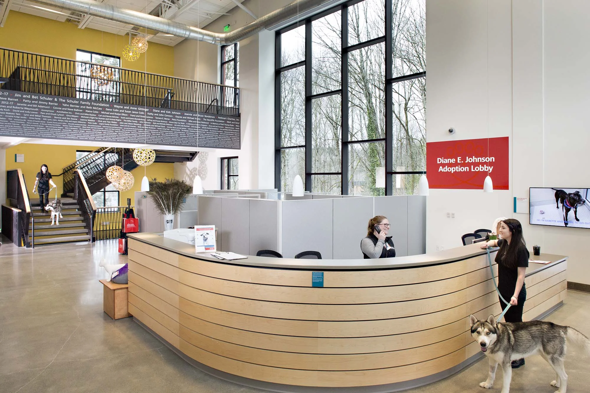 seattle humane society adoption