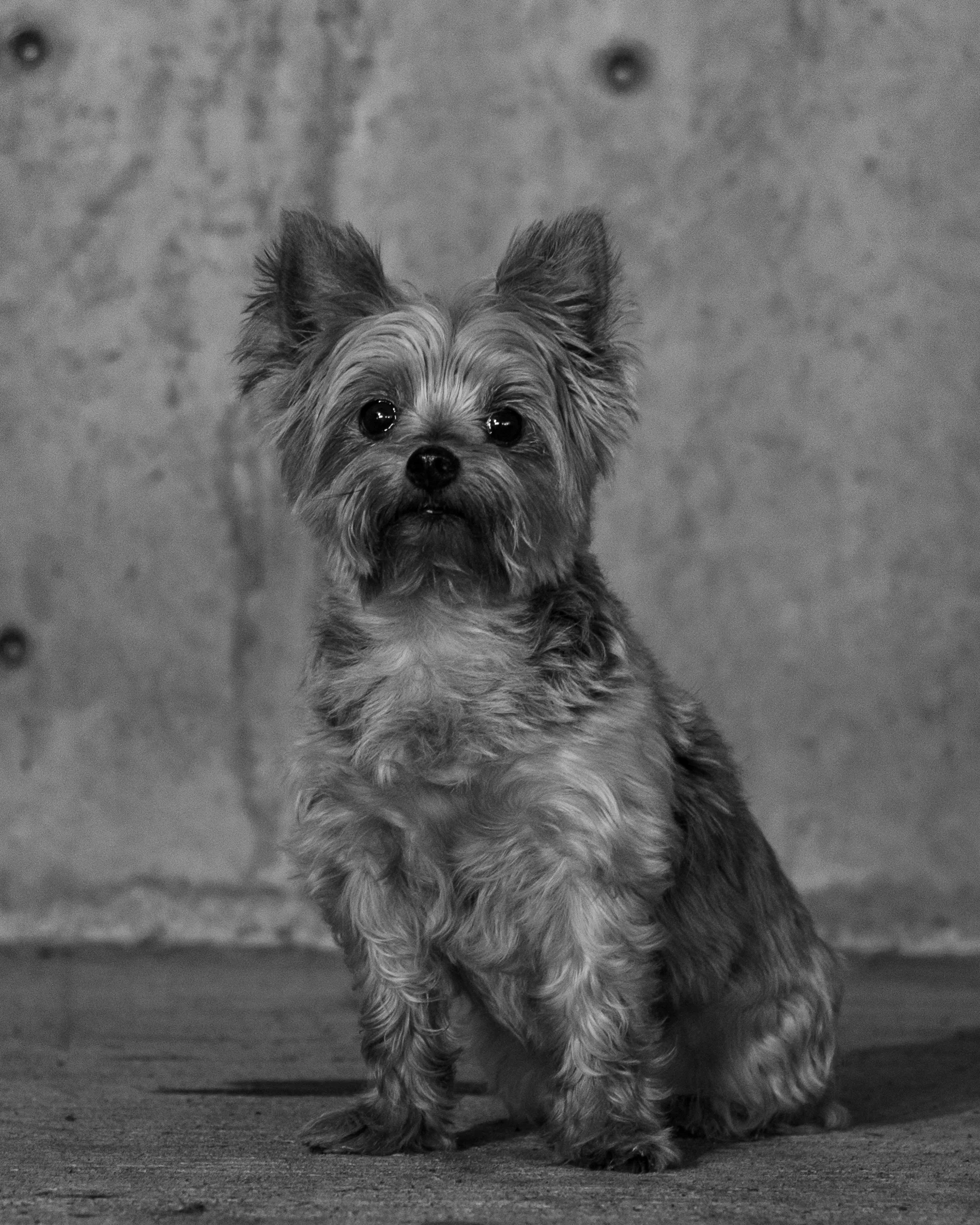 Soleil_DSC_5812.jpg