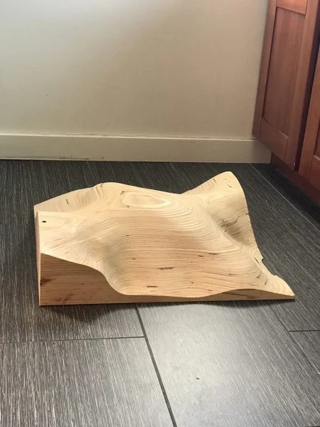 plywood form