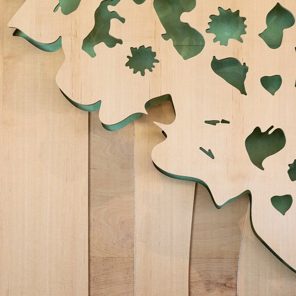 Community Library Showcases Airy Light-Frame Wood Construction