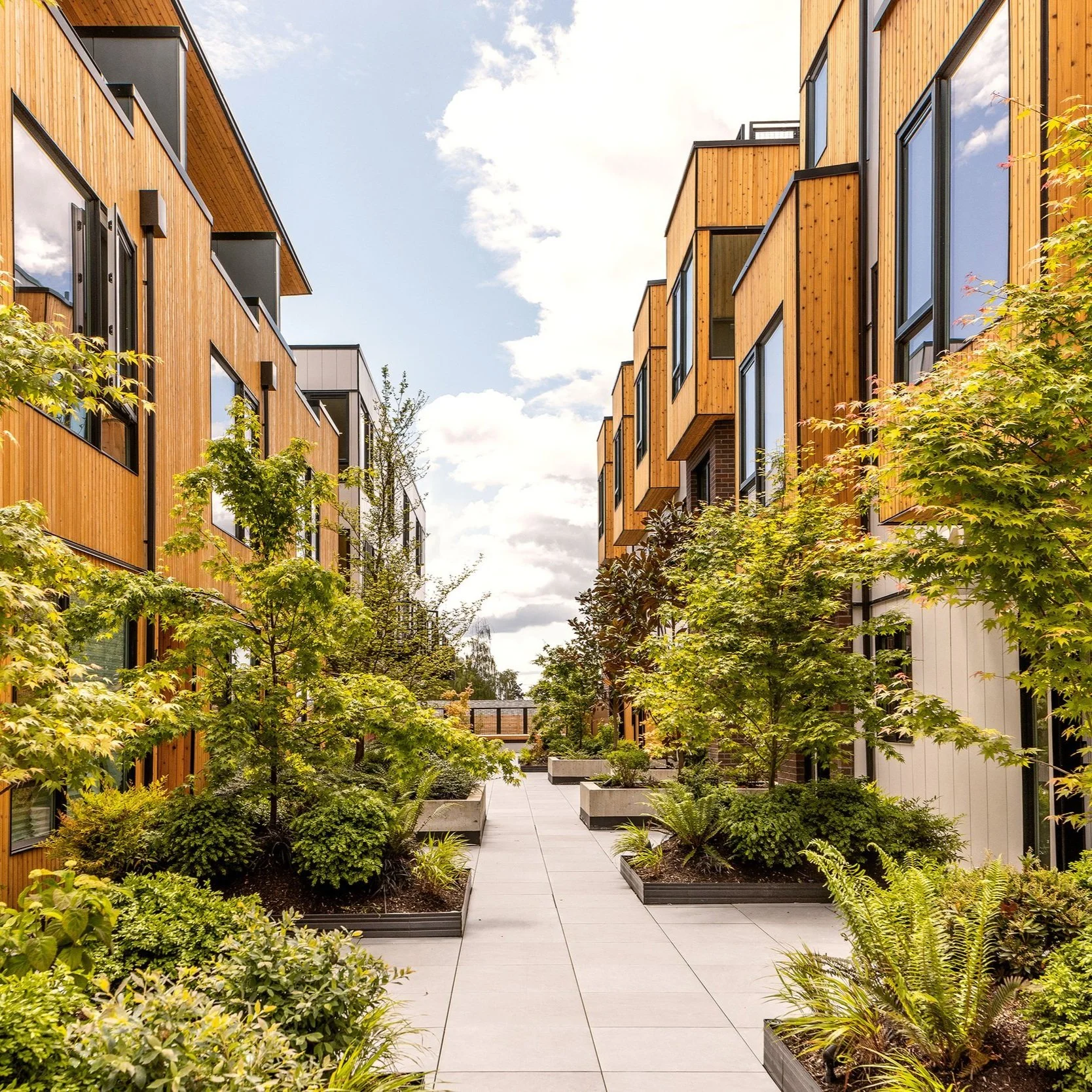 How Climate-Friendly Townhomes in Seattle Were Designed in a Single-Family Neighborhood
