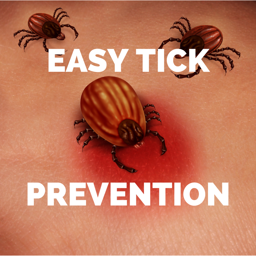 Tick Prevention — The Gundog