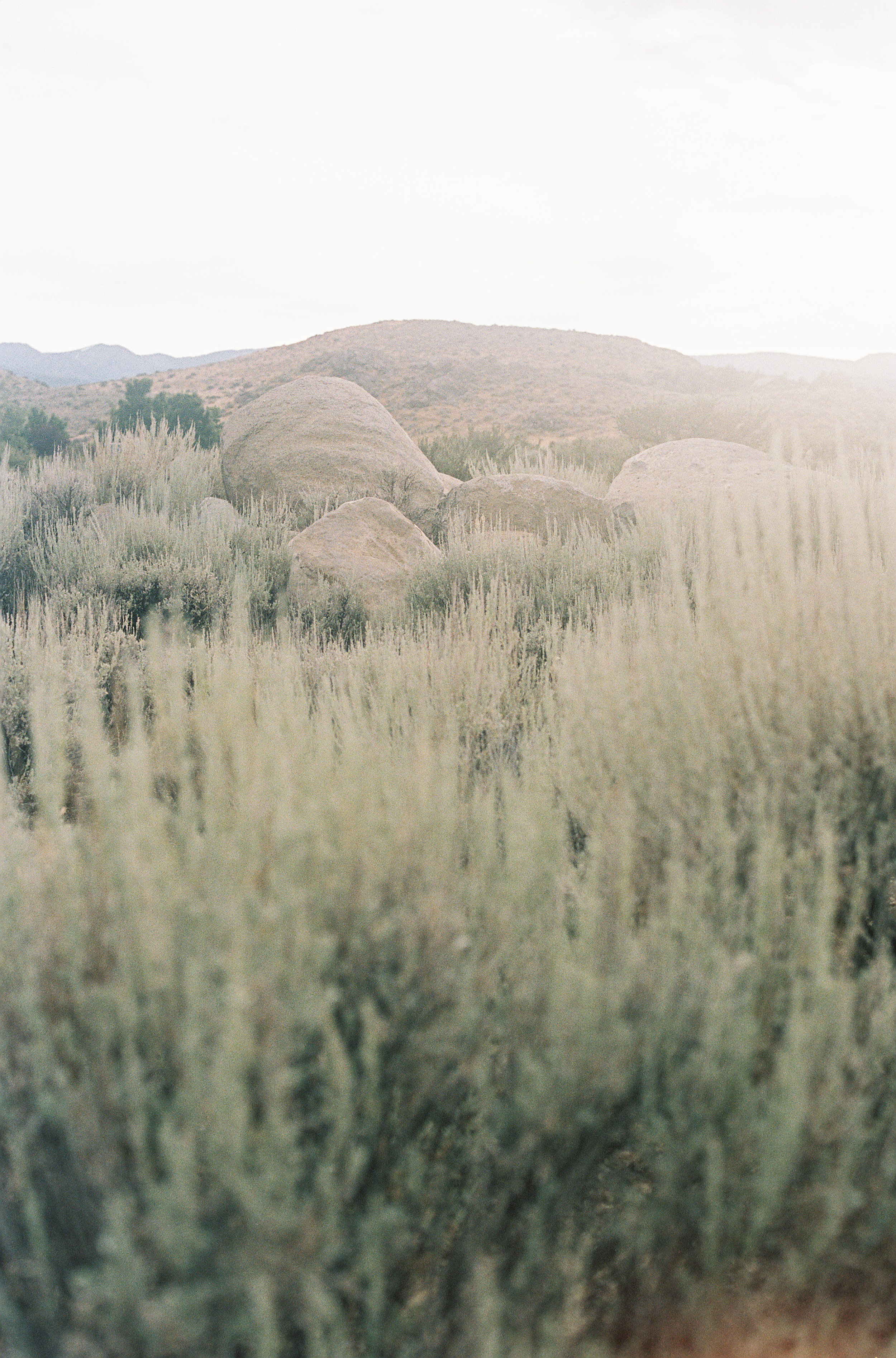desert_inspiration021.jpg