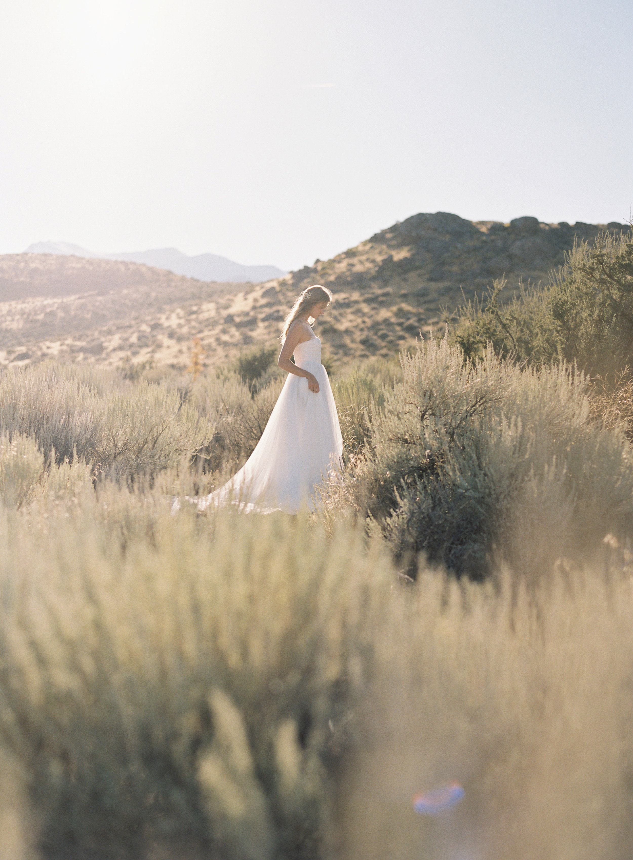 desert_inspiration102.jpg