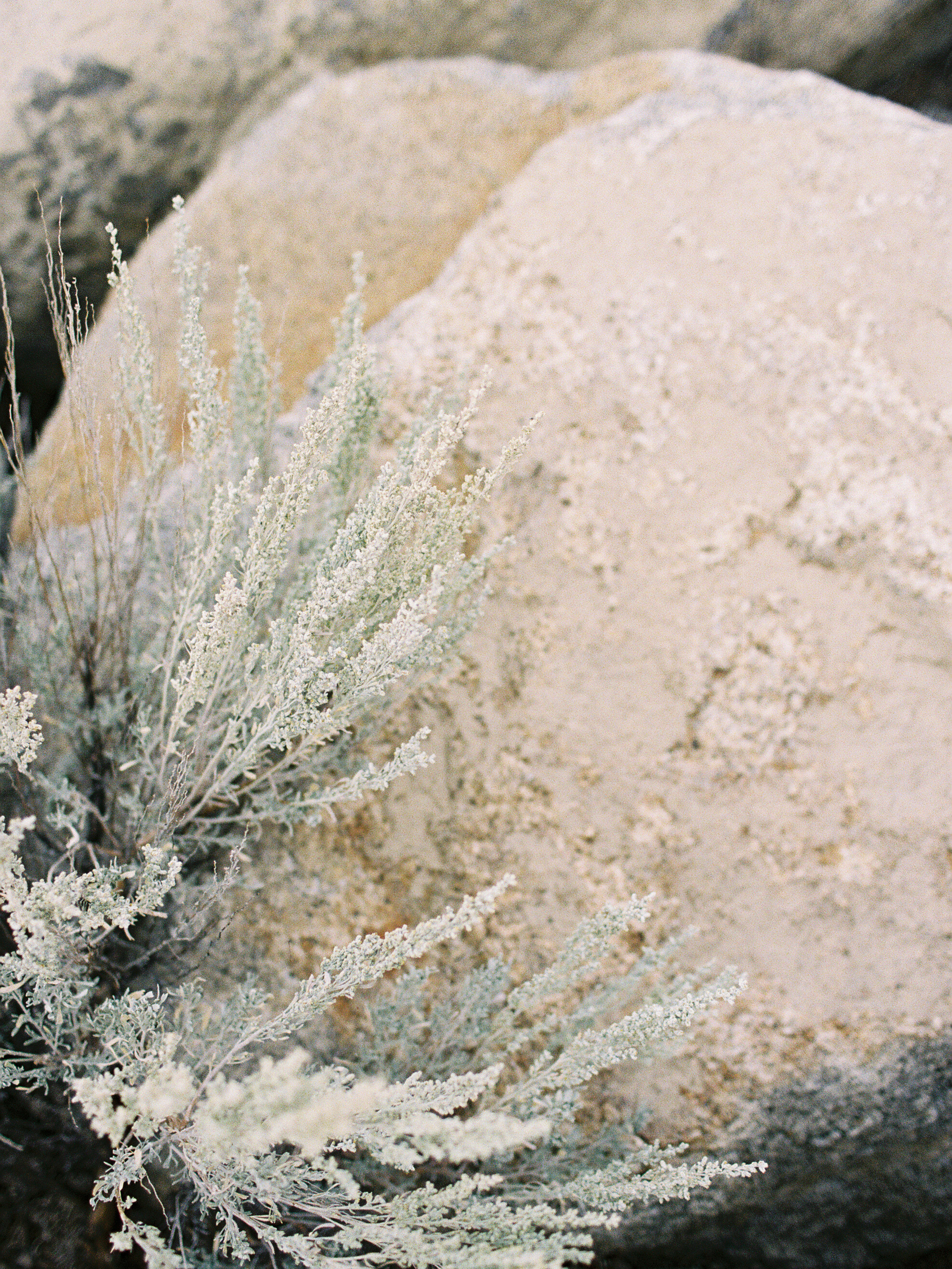 sara-weir-wedding-branding-photographer-chapter-series-begin-2-unearthing.tc.jpg