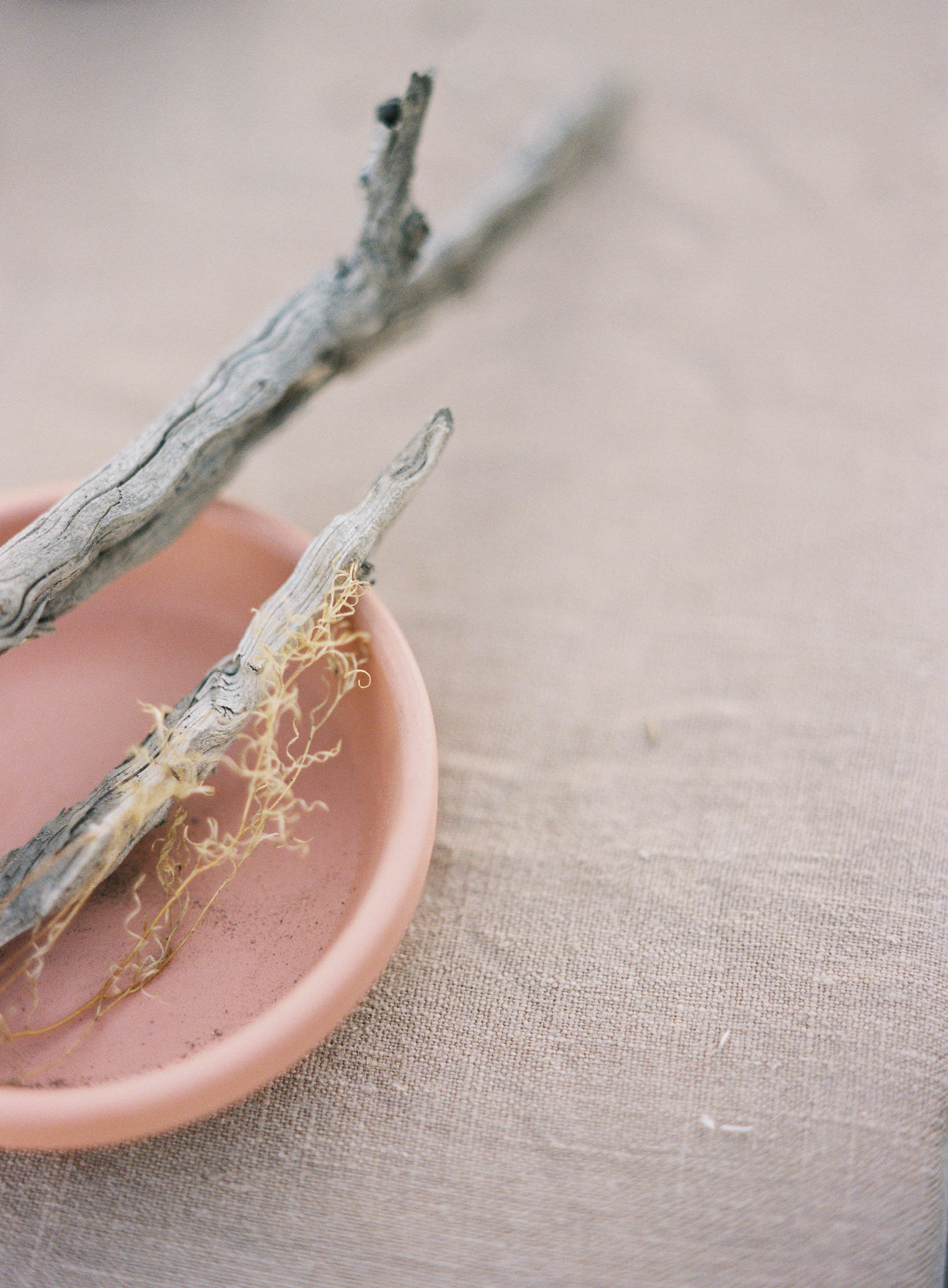 sara-weir-wedding-branding-photographer-chapter-series-begin-4-unearthing.tc.jpg