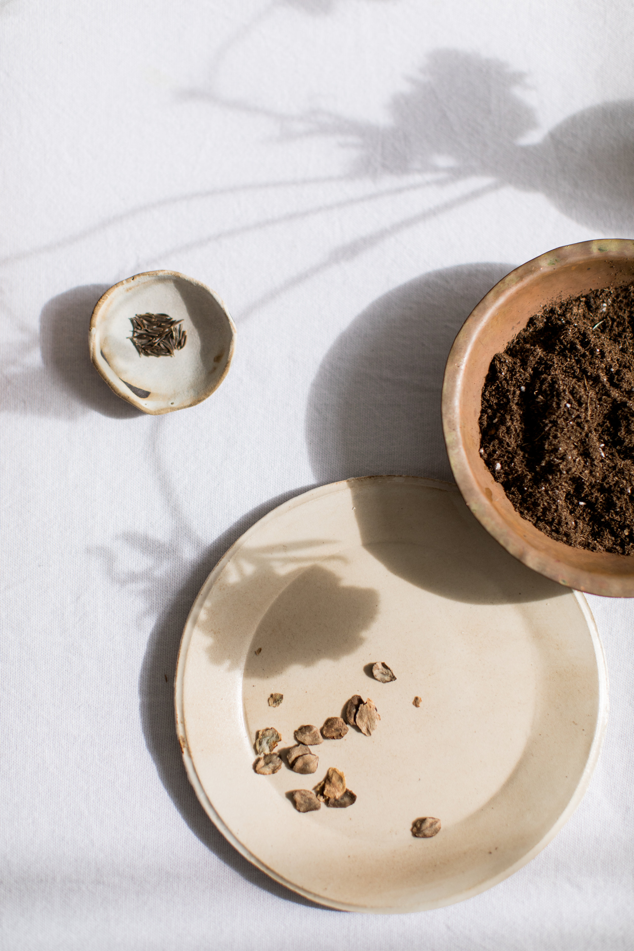 creativeproject-mckinzielytle-jessicasphotography-wintertospring-11-unearthing.tc.jpg