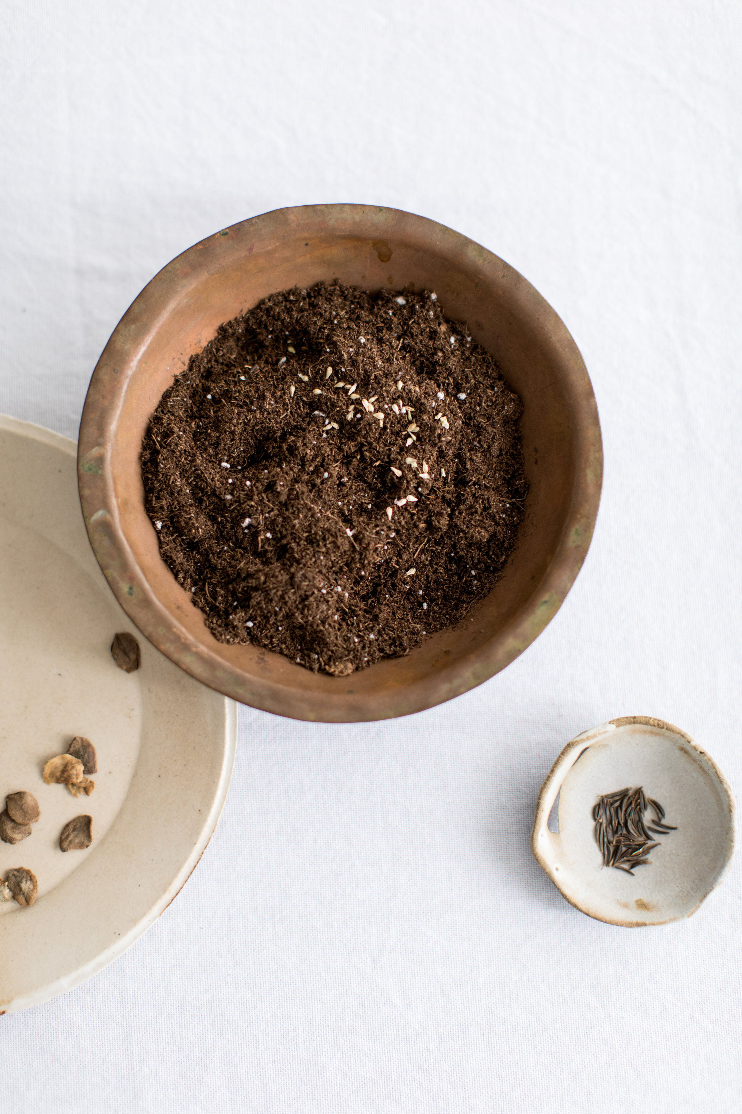creativeproject-mckinzielytle-jessicasphotography-wintertospring-12-unearthing.tc.jpg