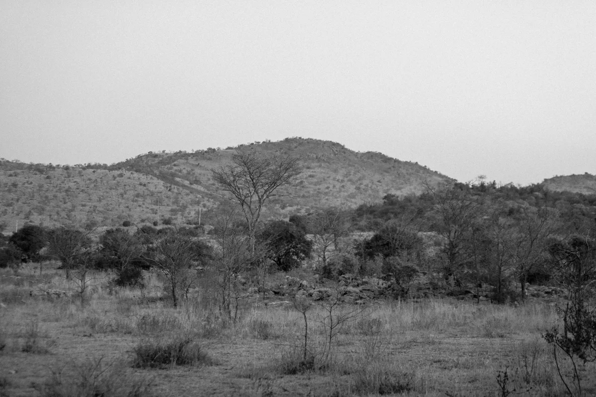 genteelbeasts-dustanddreamsphotography-photography-southafrica-unearthing.tc-106.jpg