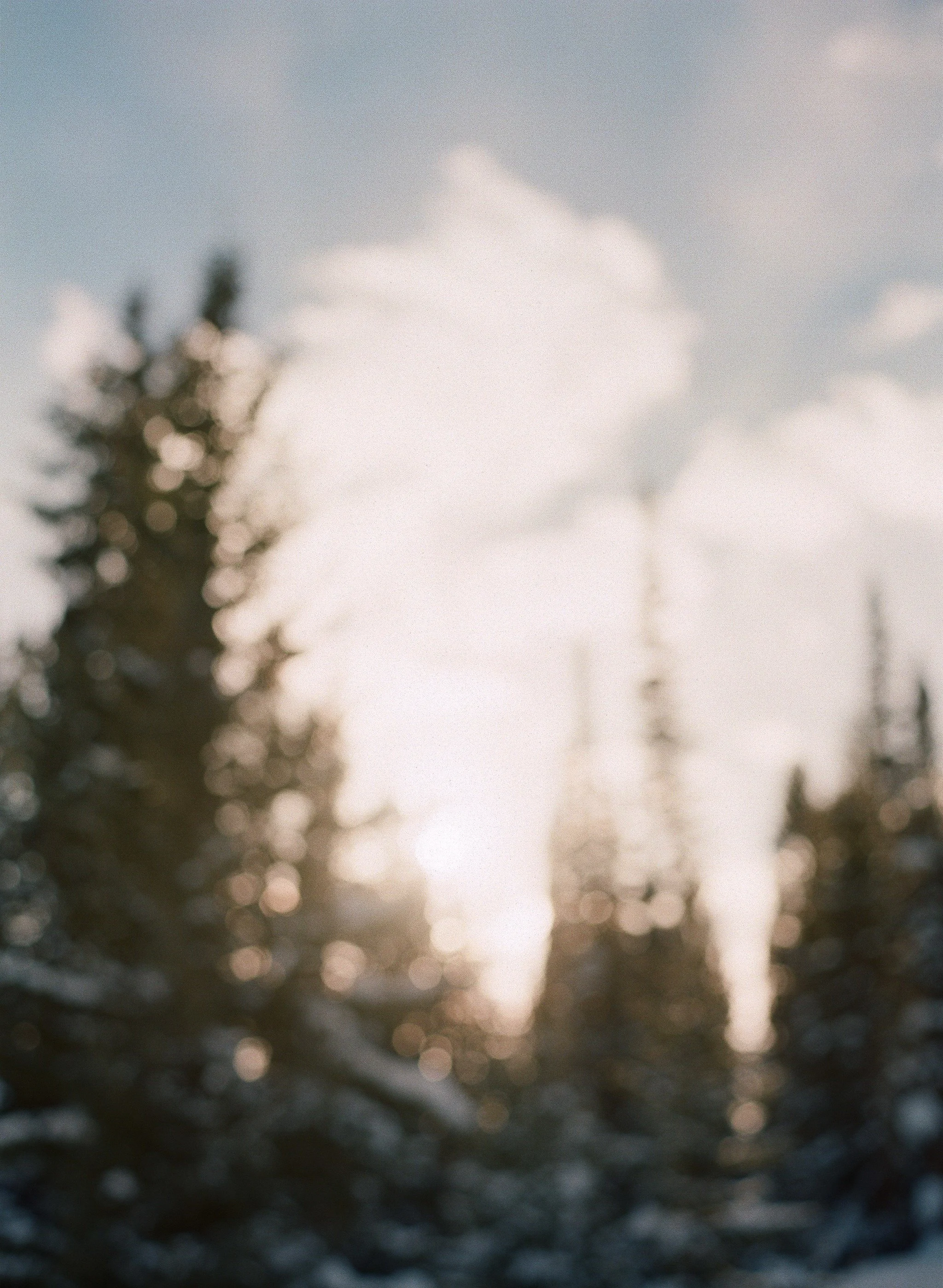 lauramurray-travel-destinationphotography-creativetravel-artists-filmphotography-unearthingtc-blur-pinetrees-snow.jpg
