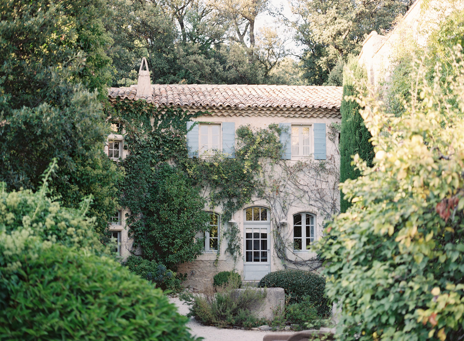 kerstin-lillikadphotography-travel-destinationphotography-creativetravel-artists-filmphotography-unearthingtc-cottage-frenchcountry-englishcountry-vines.jpg