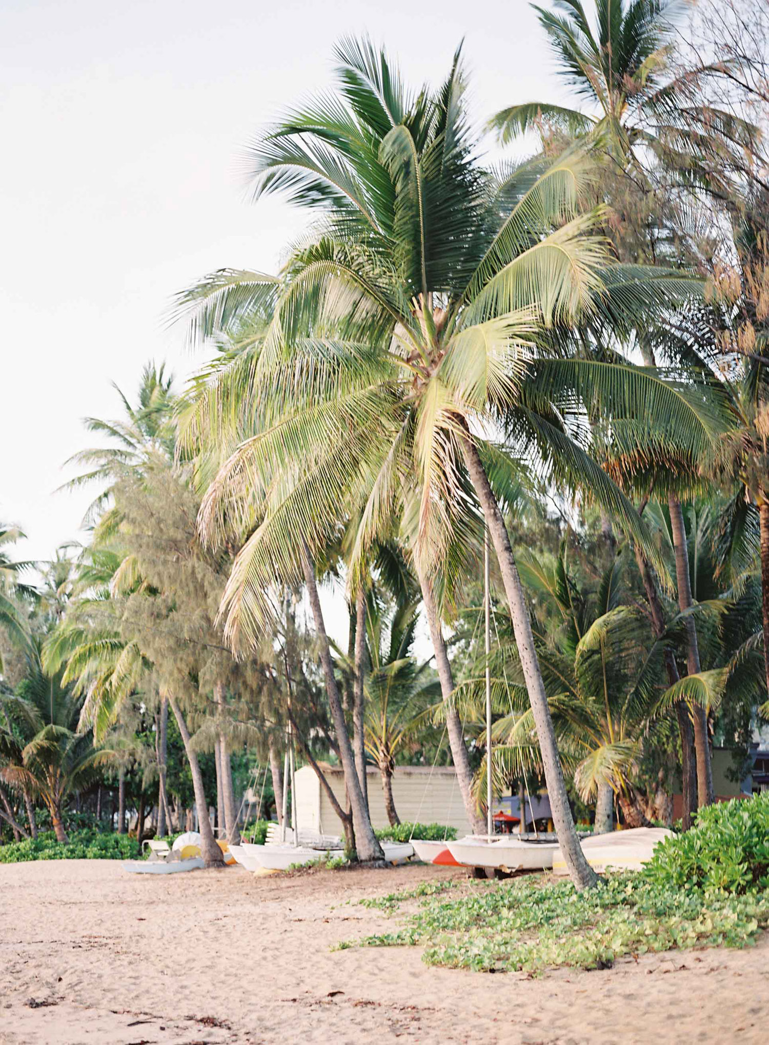 kerstin-lillikadphotography-travel-destinationphotography-creativetravel-artists-filmphotography-unearthingtc-beach-sand-palmtree-palmtrees.jpg