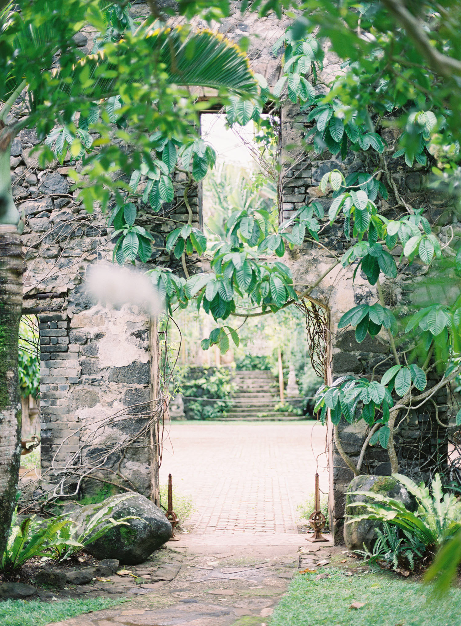 kerstin-lillikadphotography-travel-destinationphotography-creativetravel-artists-filmphotography-unearthingtc-junglebranches-walkway.jpg