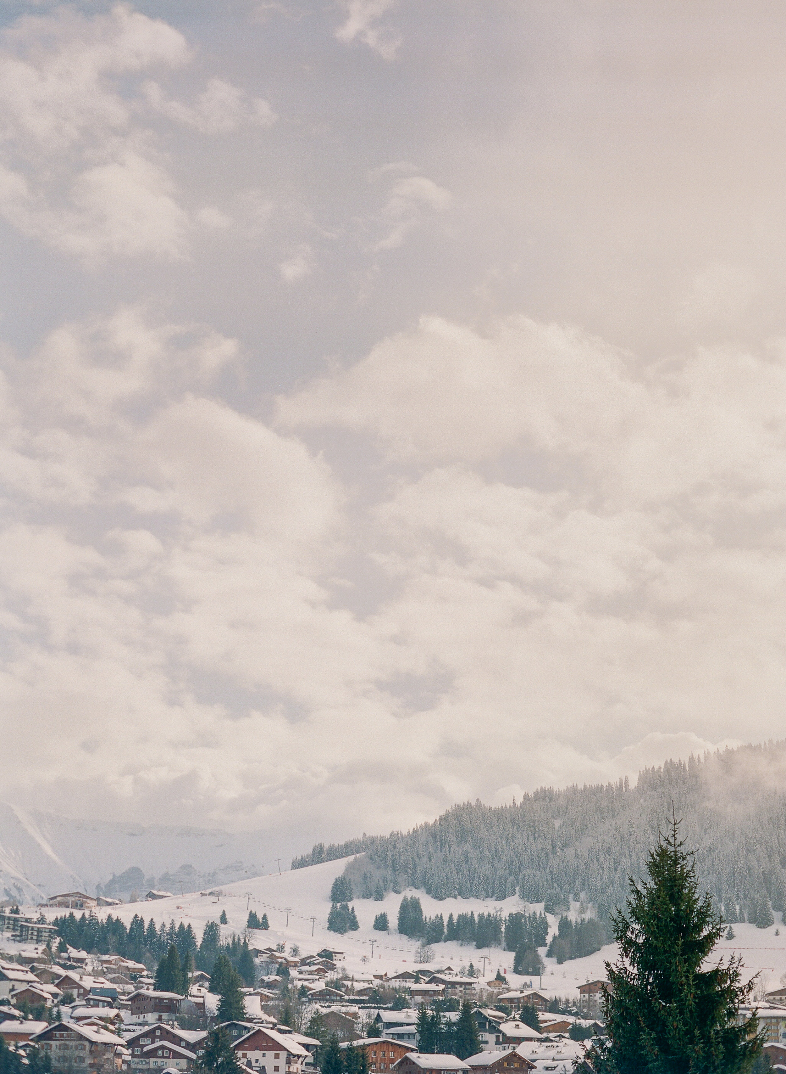 mollycarr-travel-destinationphotography-creativetravel-artists-filmphotography-unearthingtc-mountains-snow-evergreentrees-pinetrees.jpg