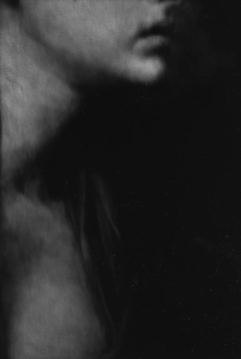 537.jpg