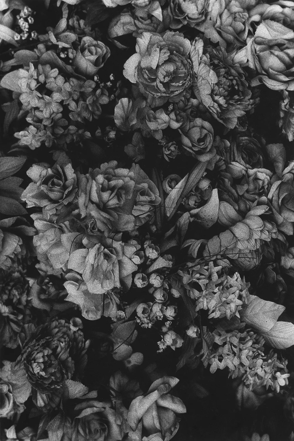 Flowers.jpg