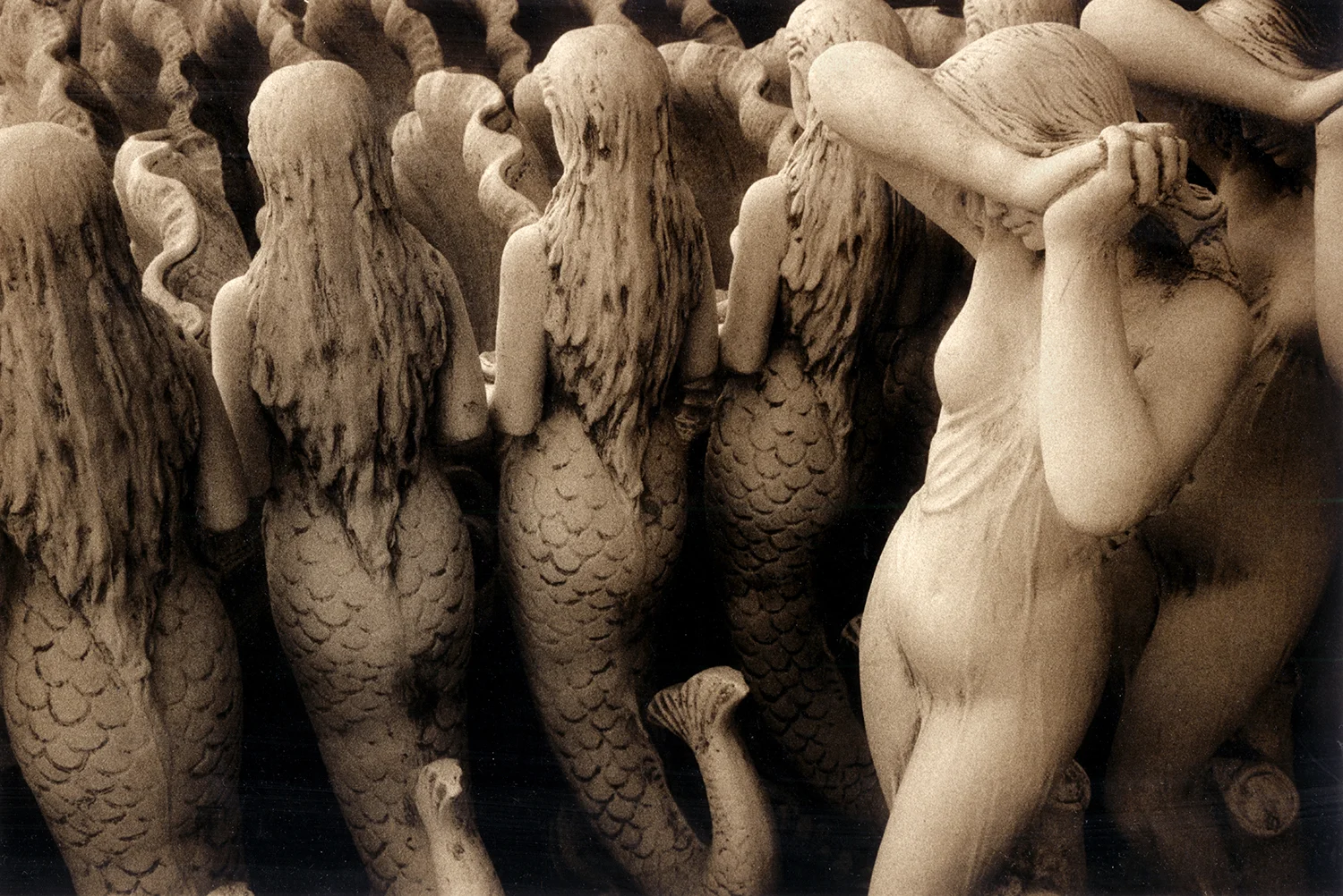 mermaids 2.jpg