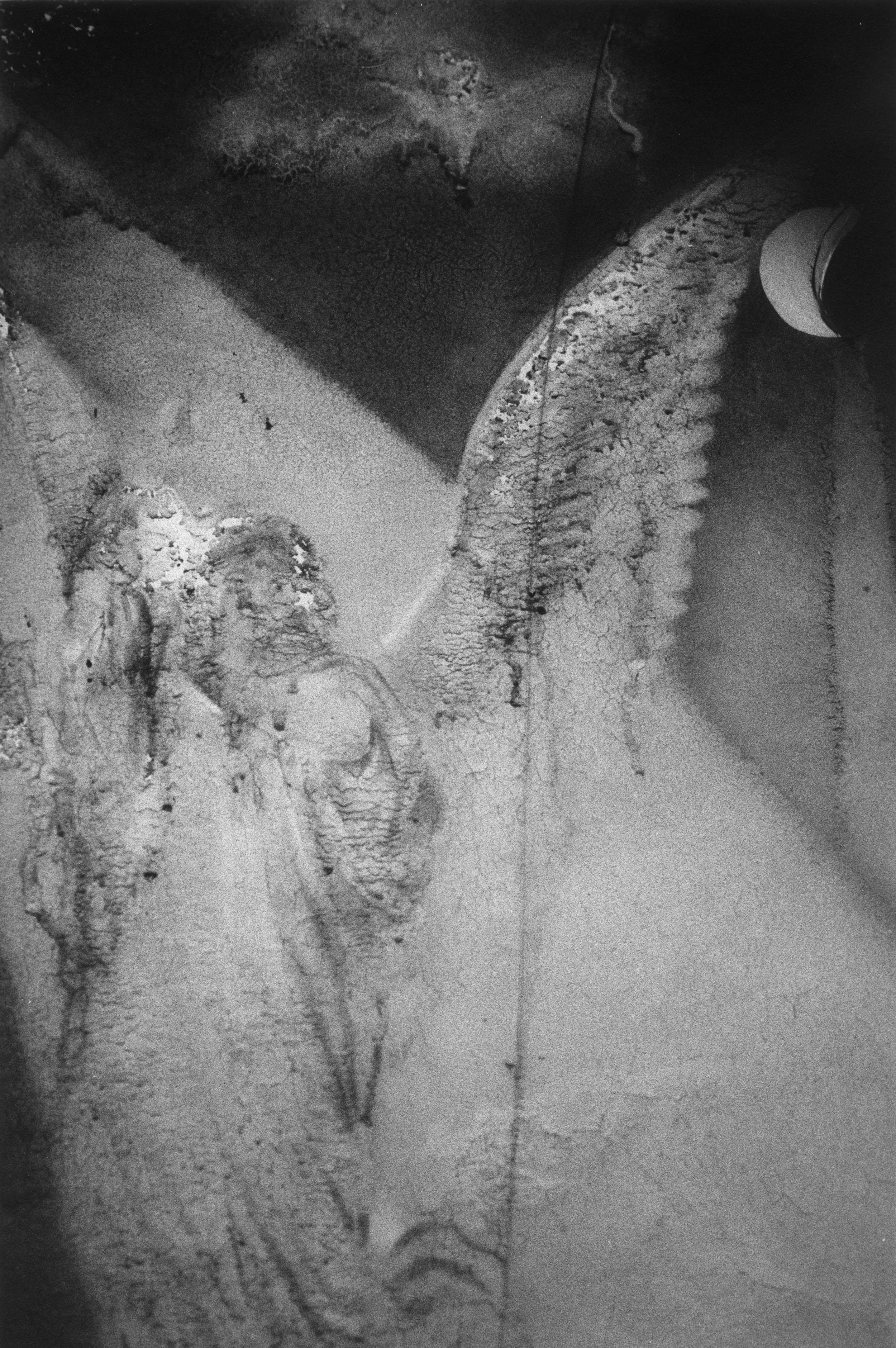 angel copy.jpg