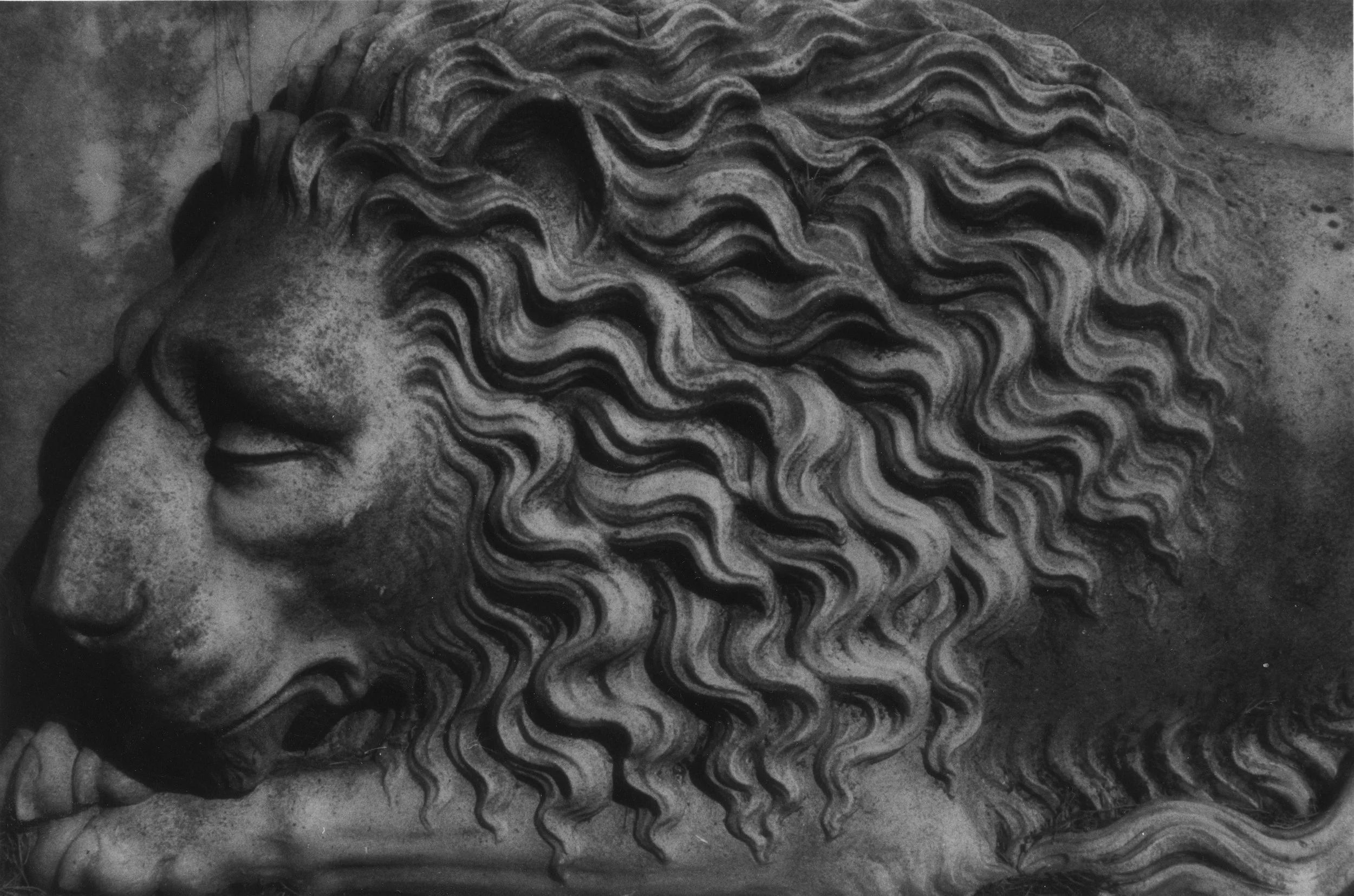 Lion Ultra Hi Res copy.jpg