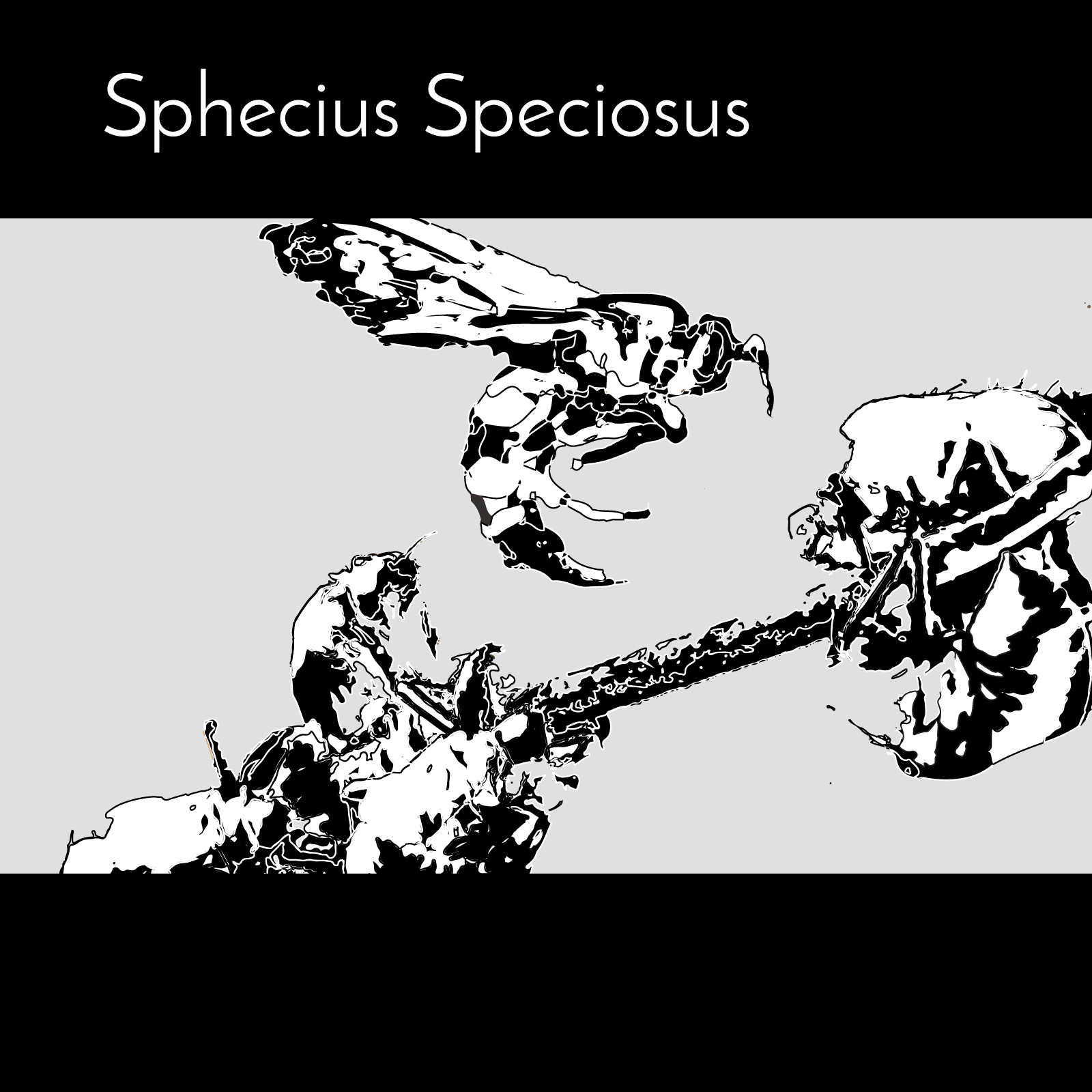 Cicadas Artboard - 1600x1600.png