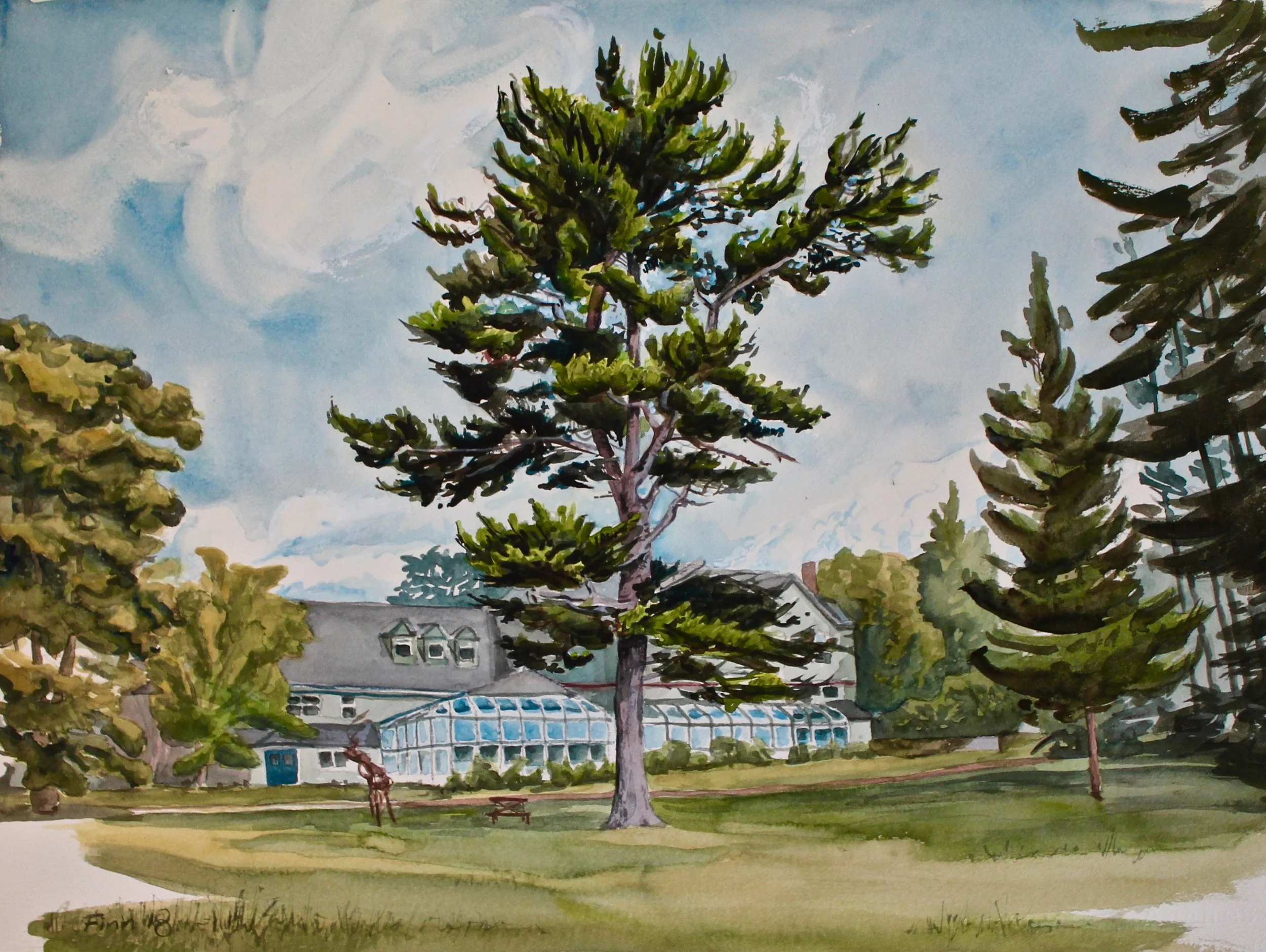 Great Lawn Tree, COA