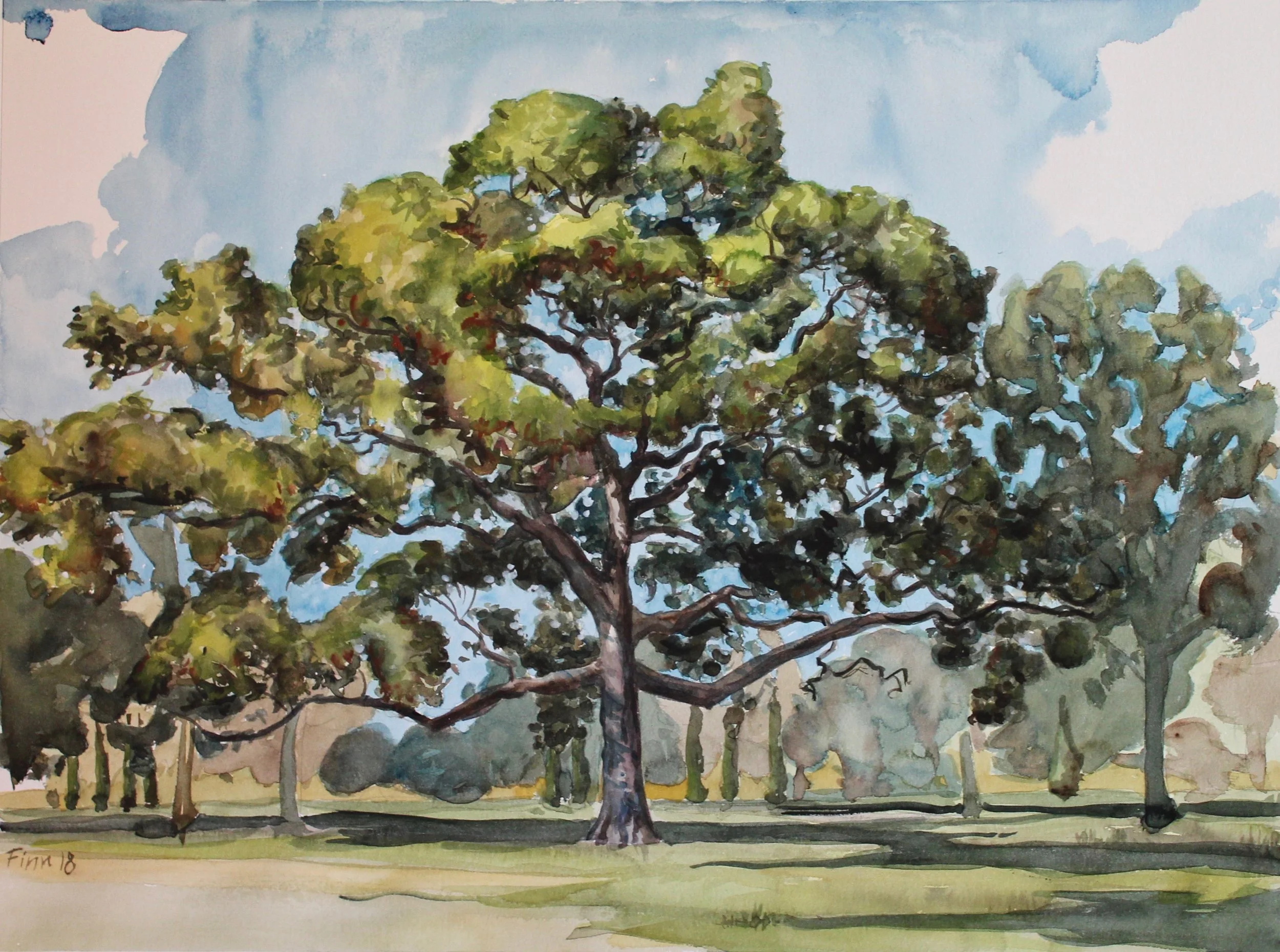 Centennial Tree