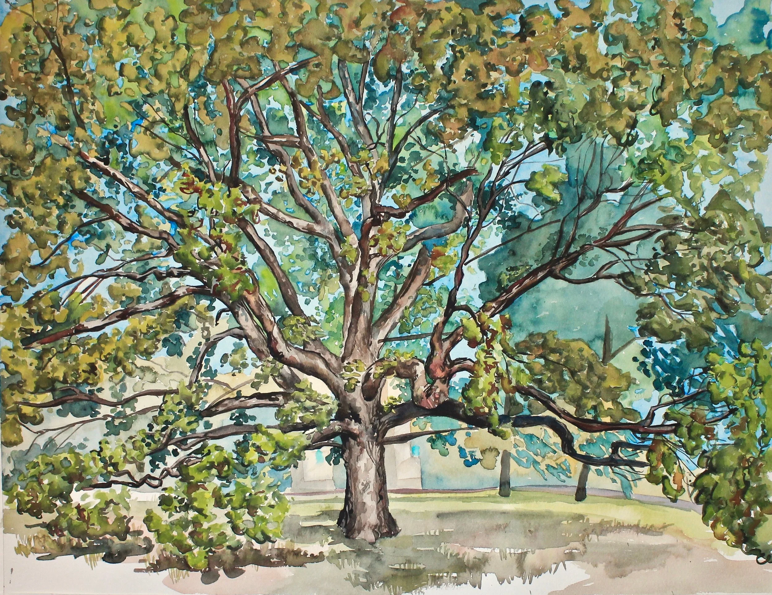 General Meade Tree