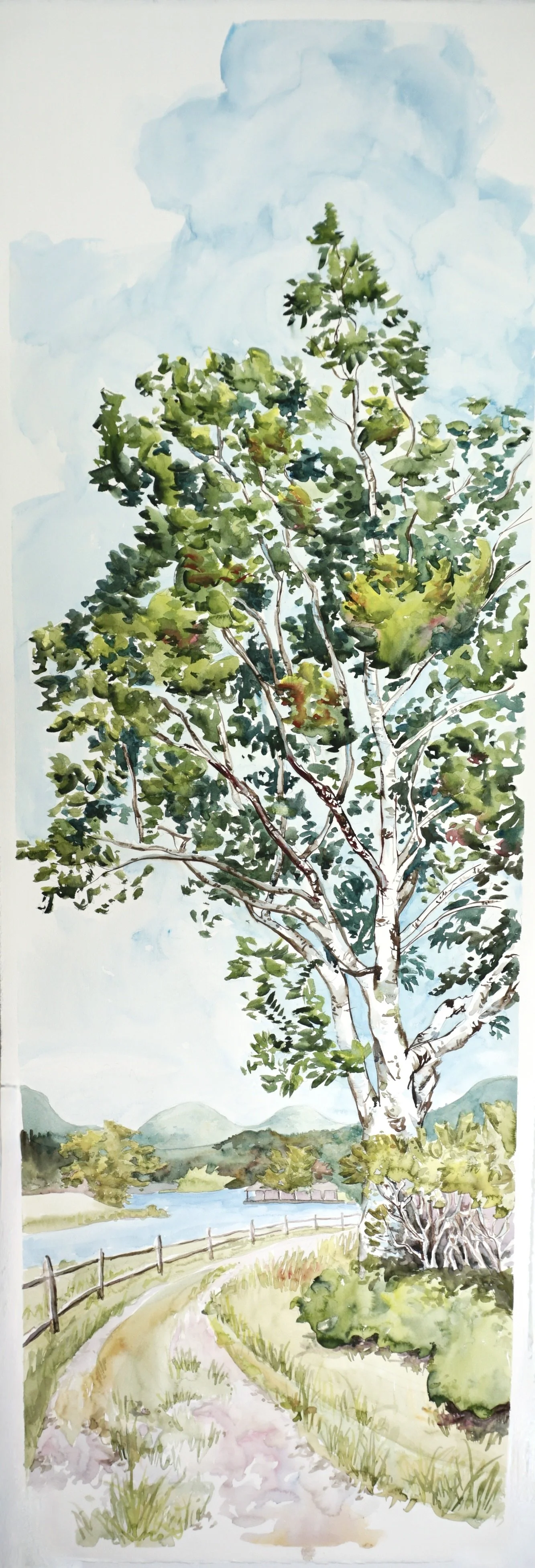 Little Long Pond Tree