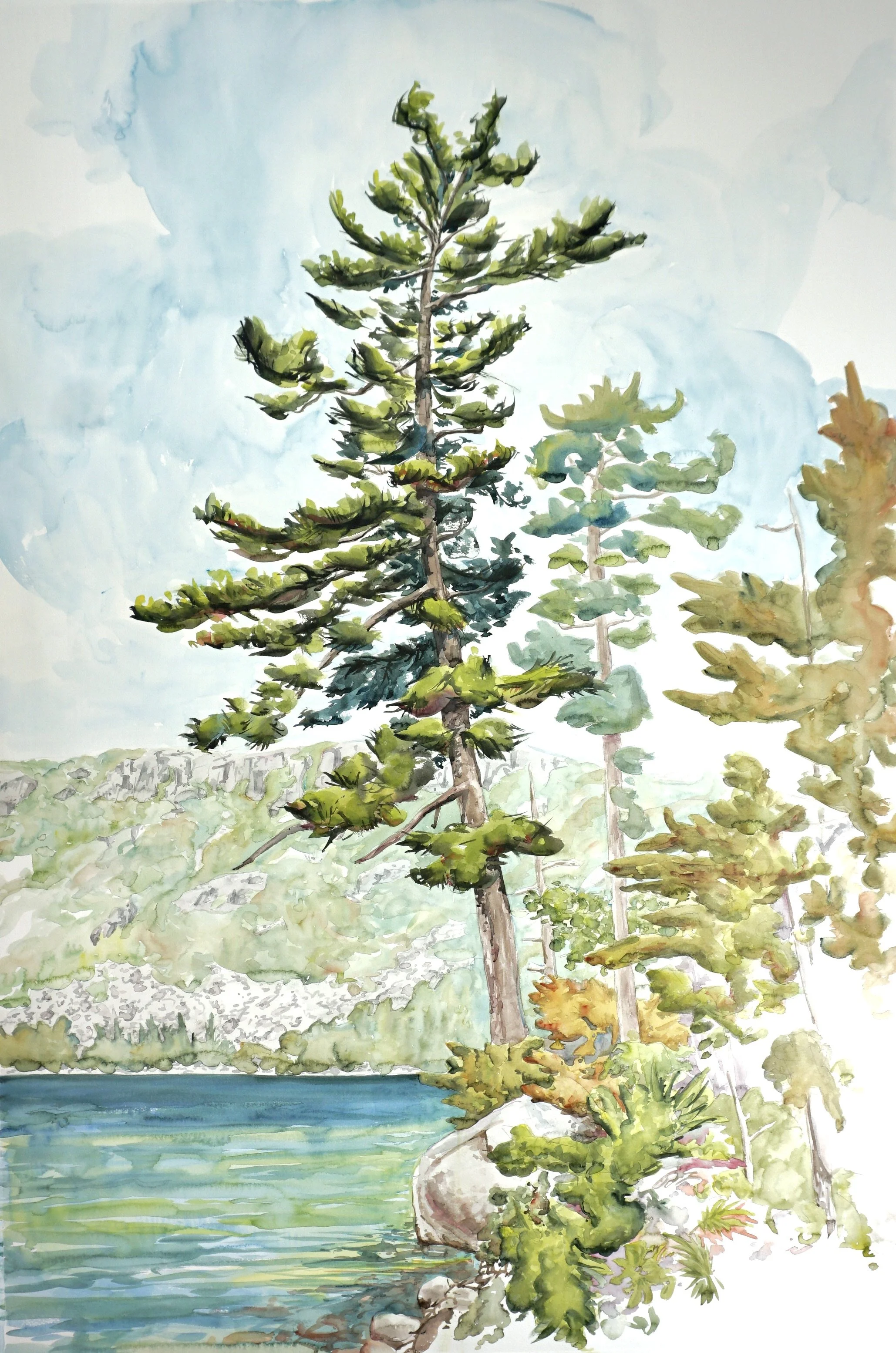 Jordan Pond Tree with Pemetic