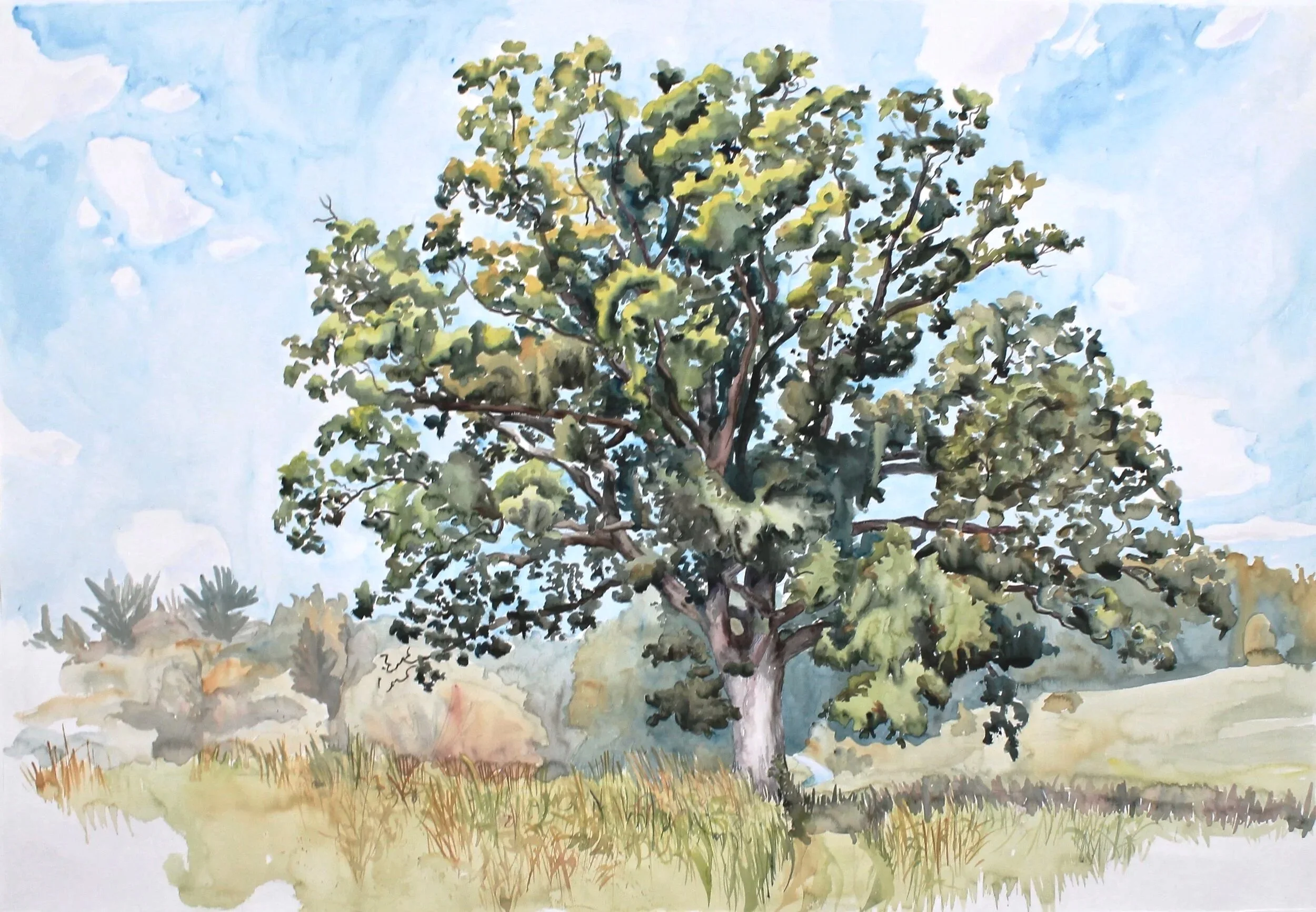 Browns Meadow Tree