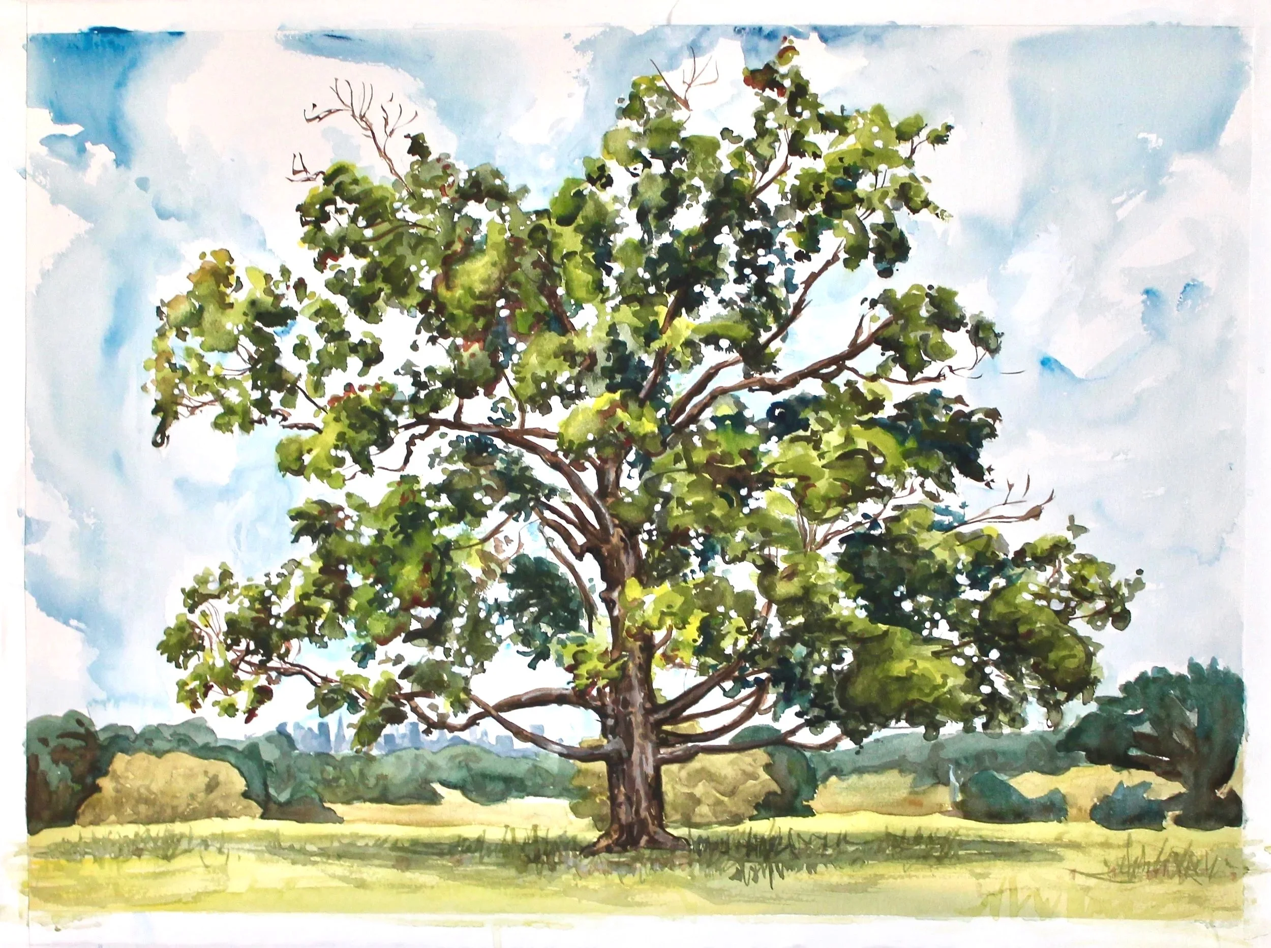 Belmont Plateau Tree