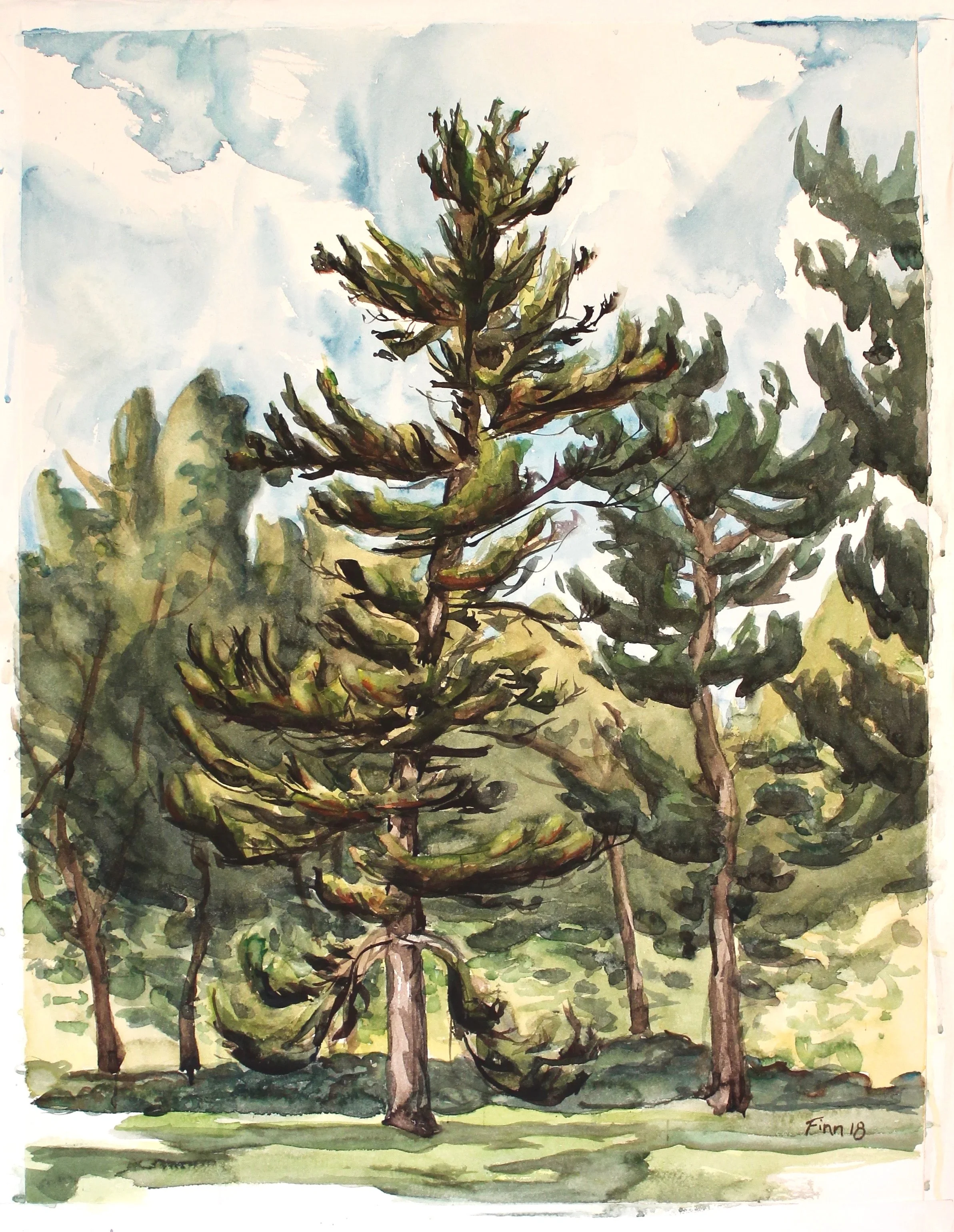 Pastorius Park Tall Tree