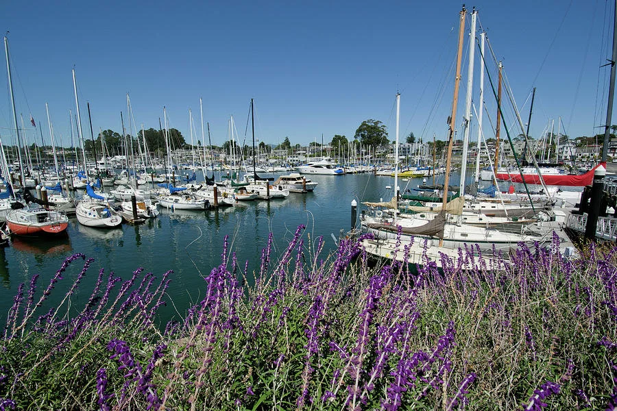 Santa Cruz Yacht Harbor.jpg