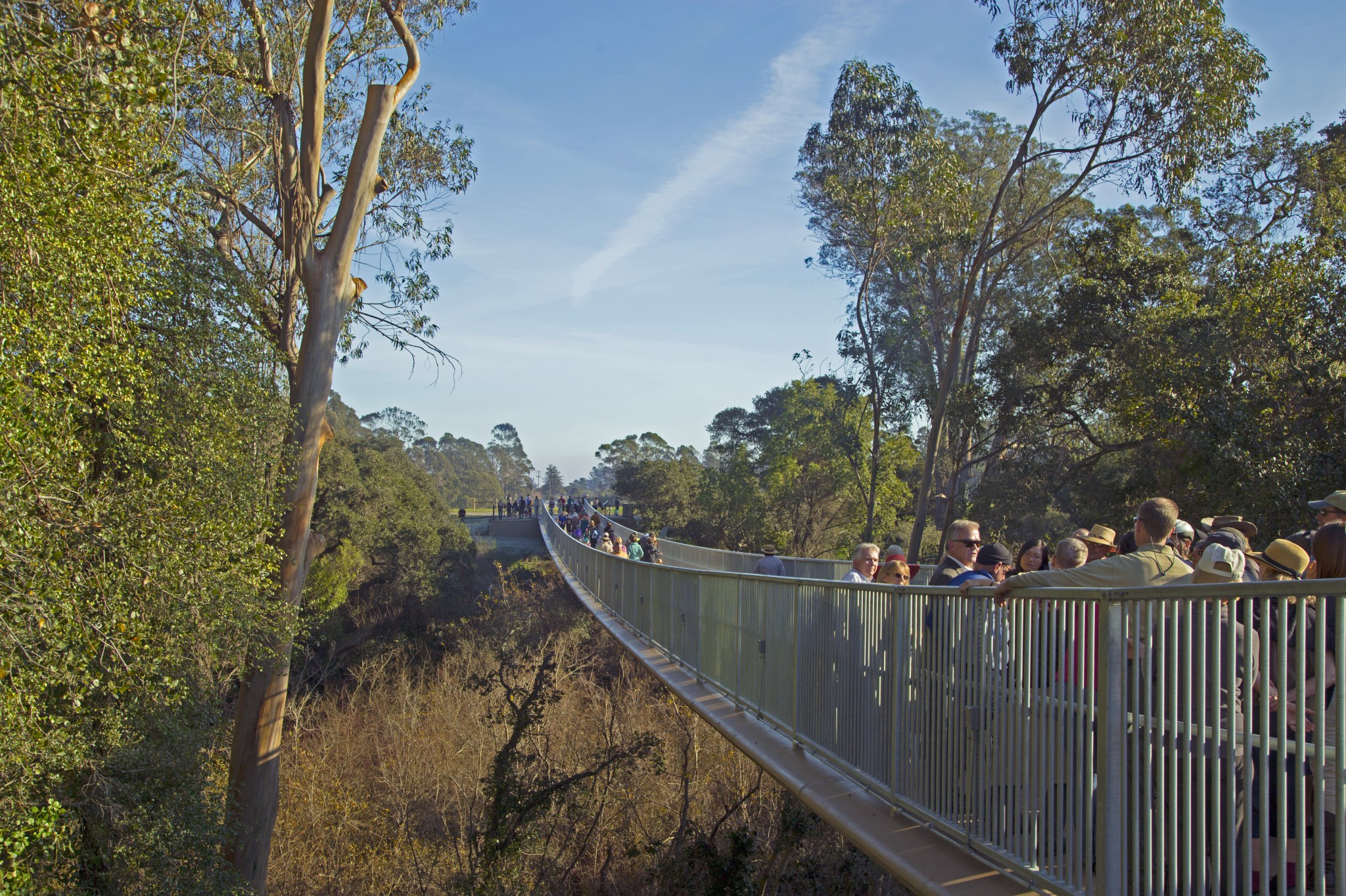 Arana Gulch Trail.jpg