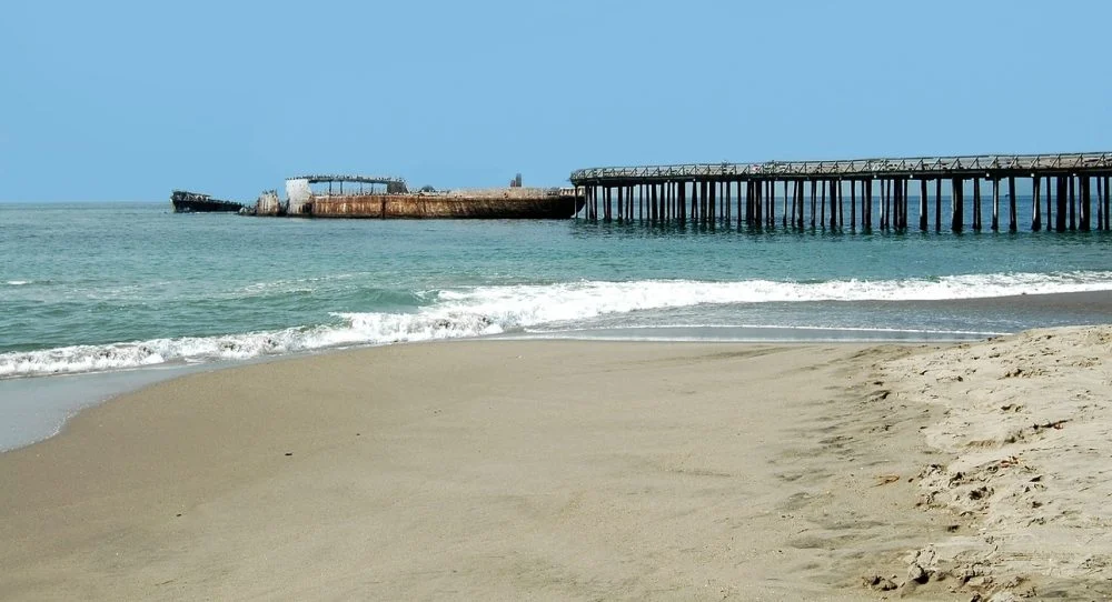 Seacliff.jpg