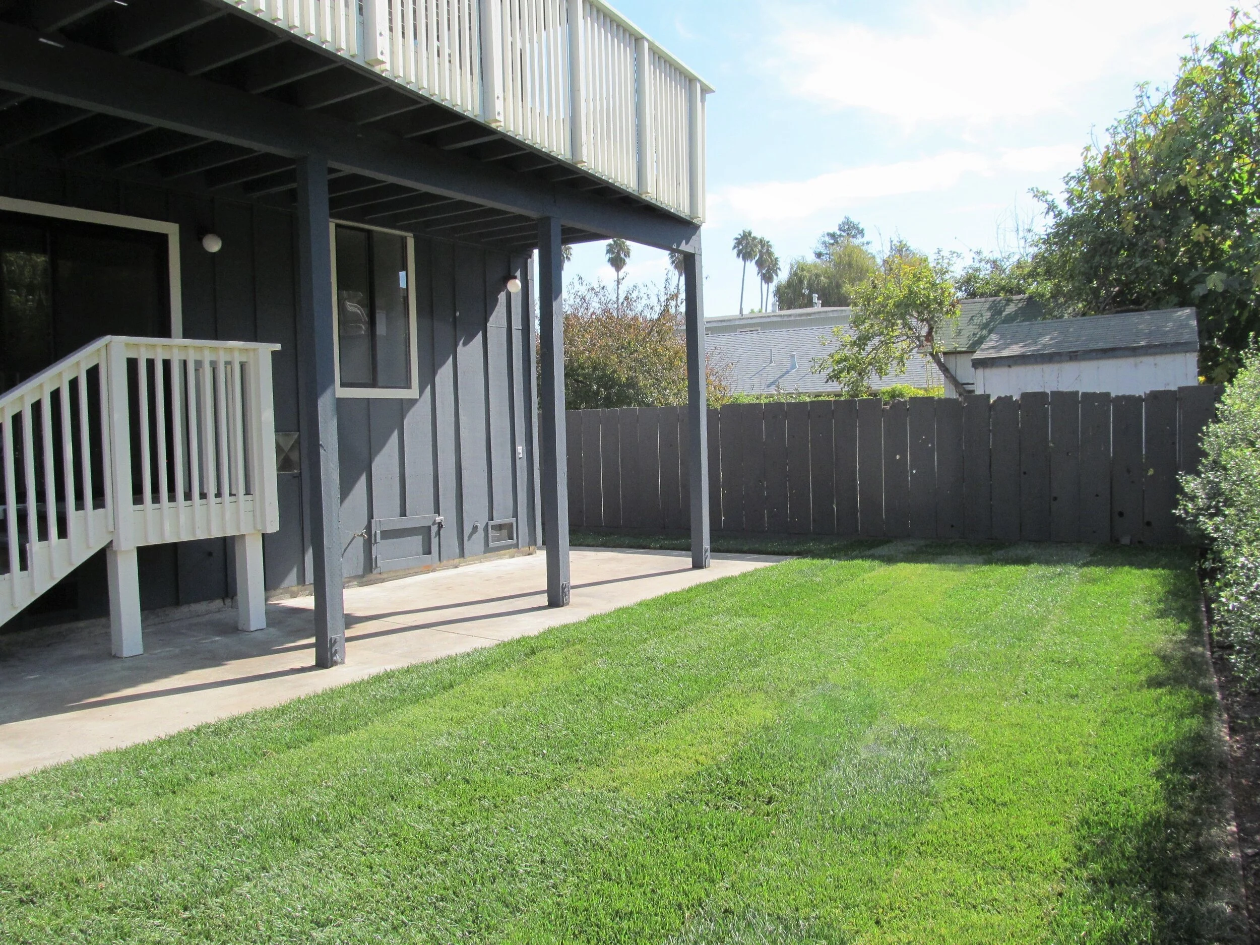 back_yard.jpg