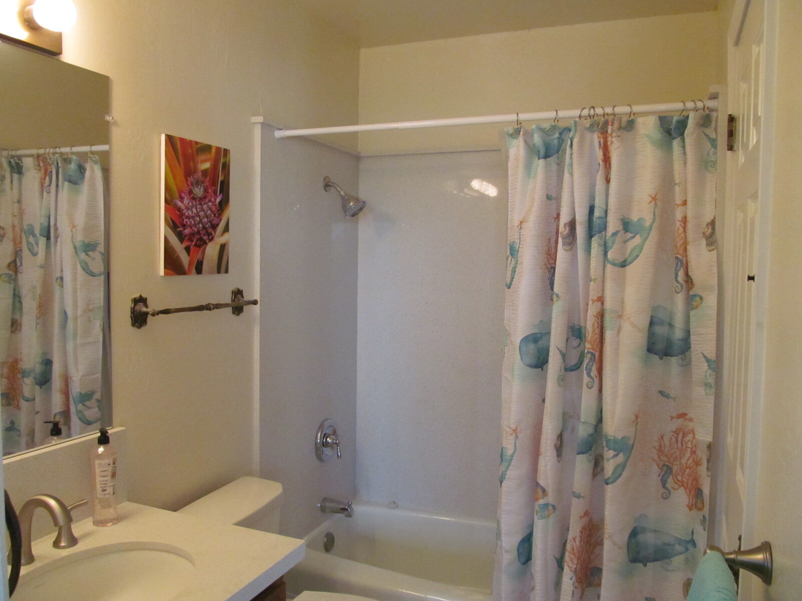 Master bathroom.JPG