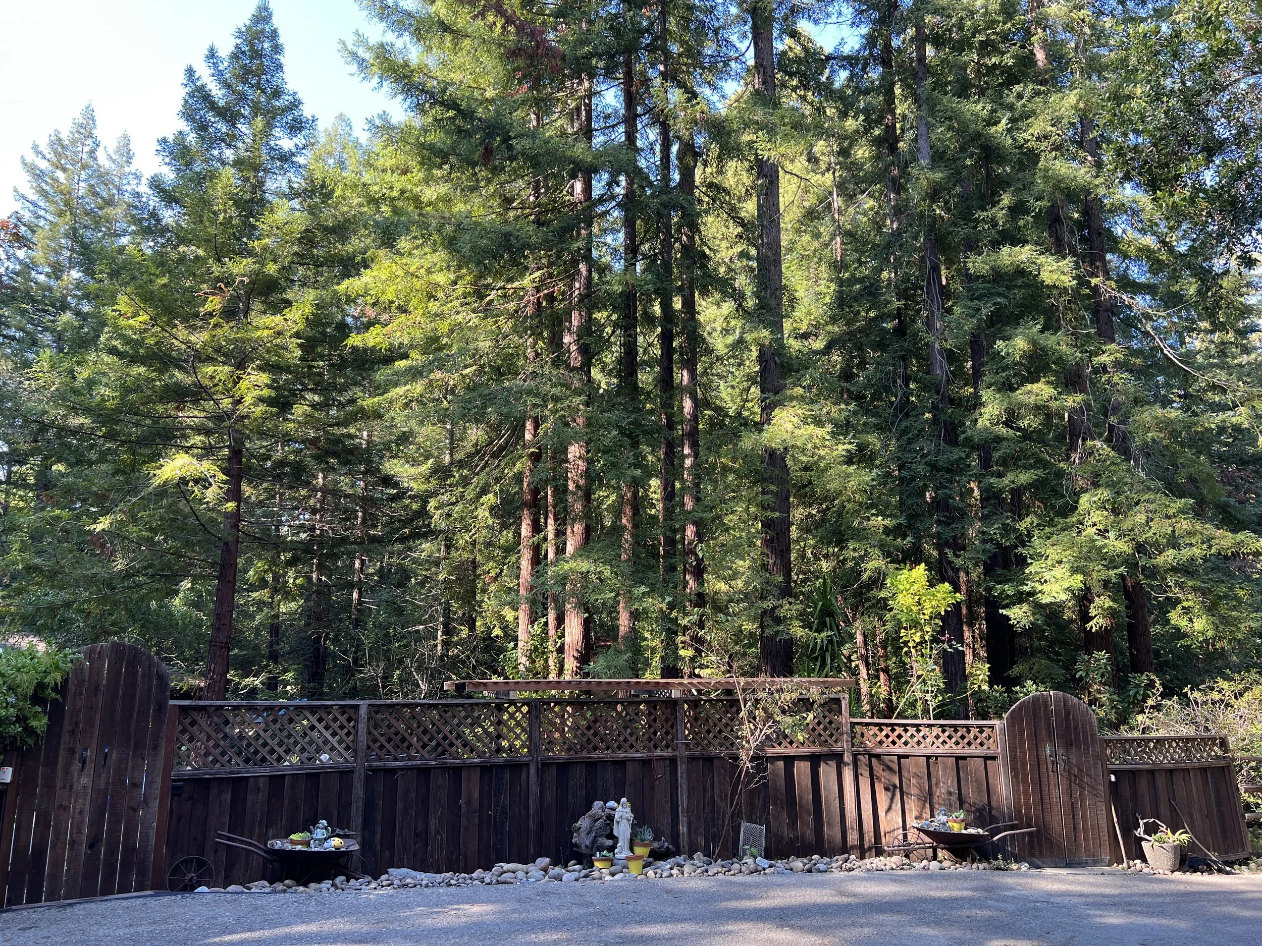 Copy of IMG_5966.JPG