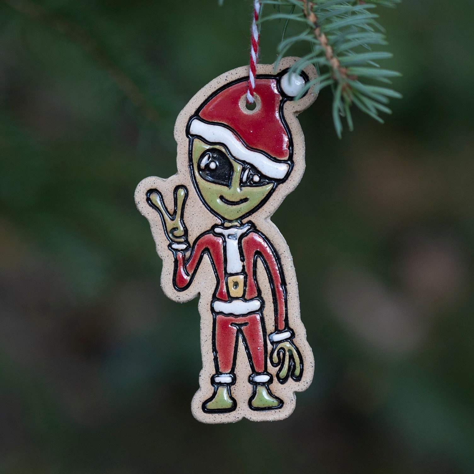 https://i.etsystatic.com/6150592/r/il/a592dc/4274811188/il_fullxfull.4274811188_jh53.jpg
