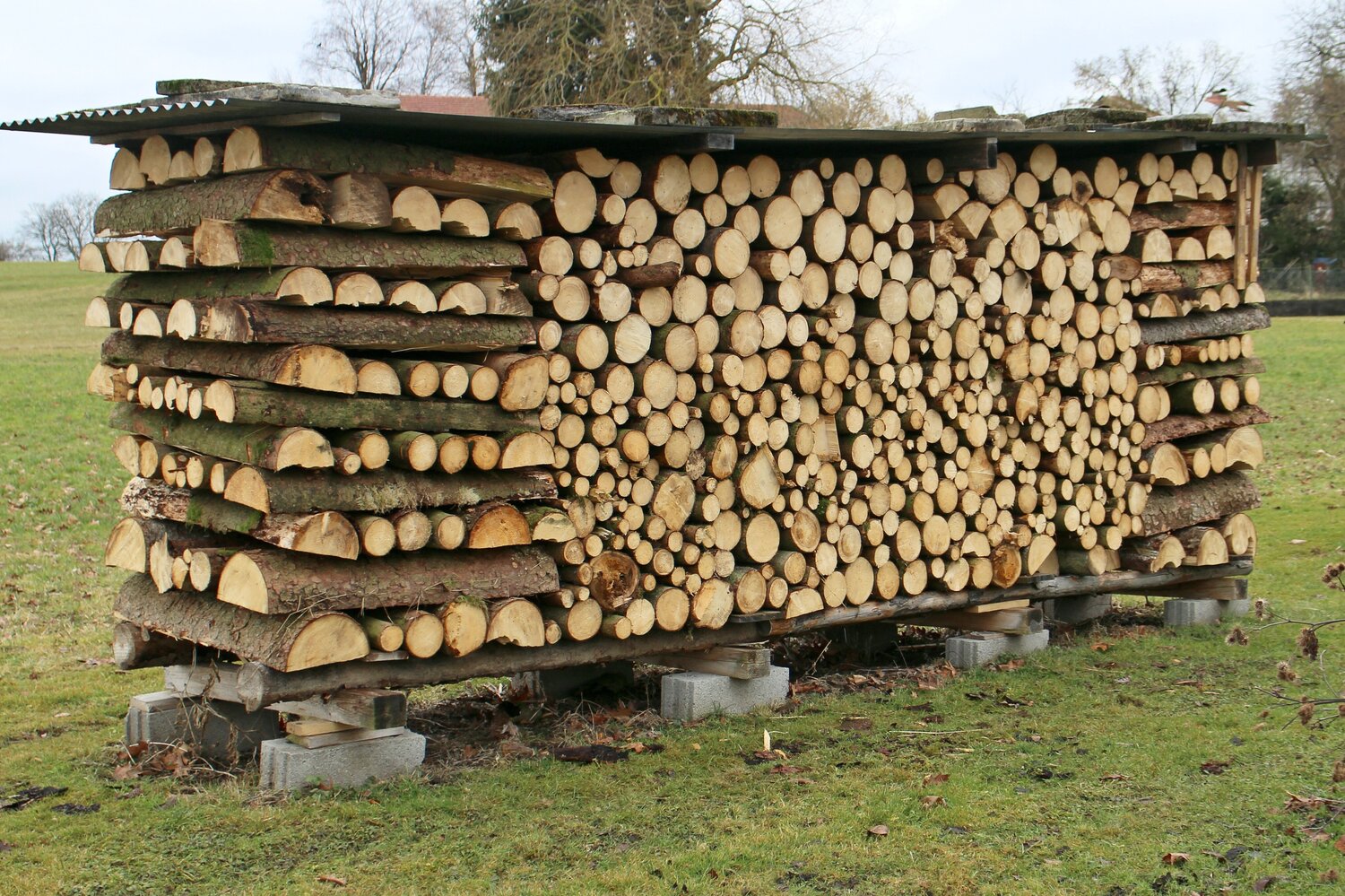 A+traditional+firewood+stack+must+be+elevated+of+the+ground+to+prevent+moisture+from+infiltrating+the+pile