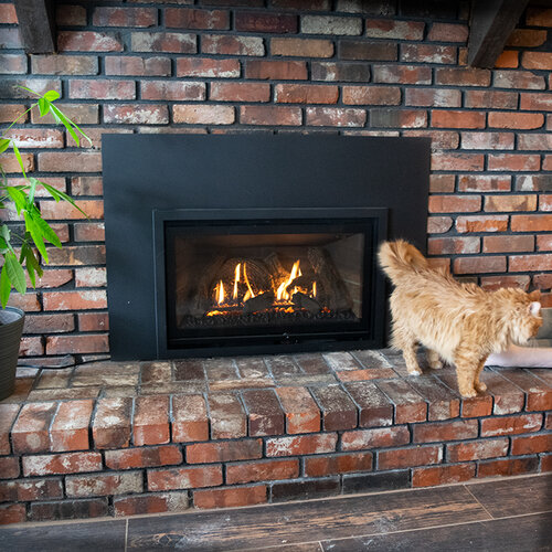 Kozy Heat Z42CD Series - Fireplace Stone & Patio