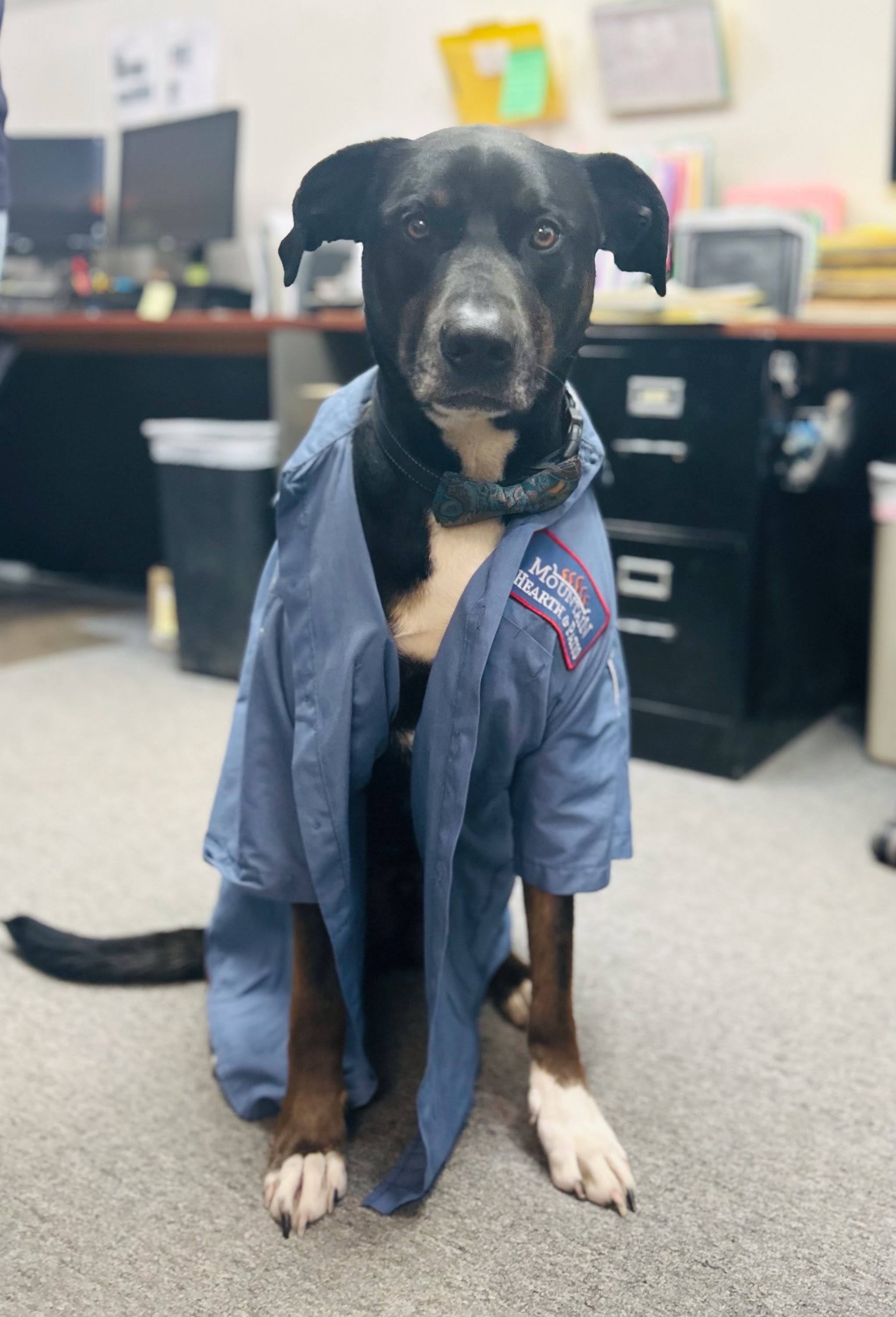 Max — Reporting for Duty!