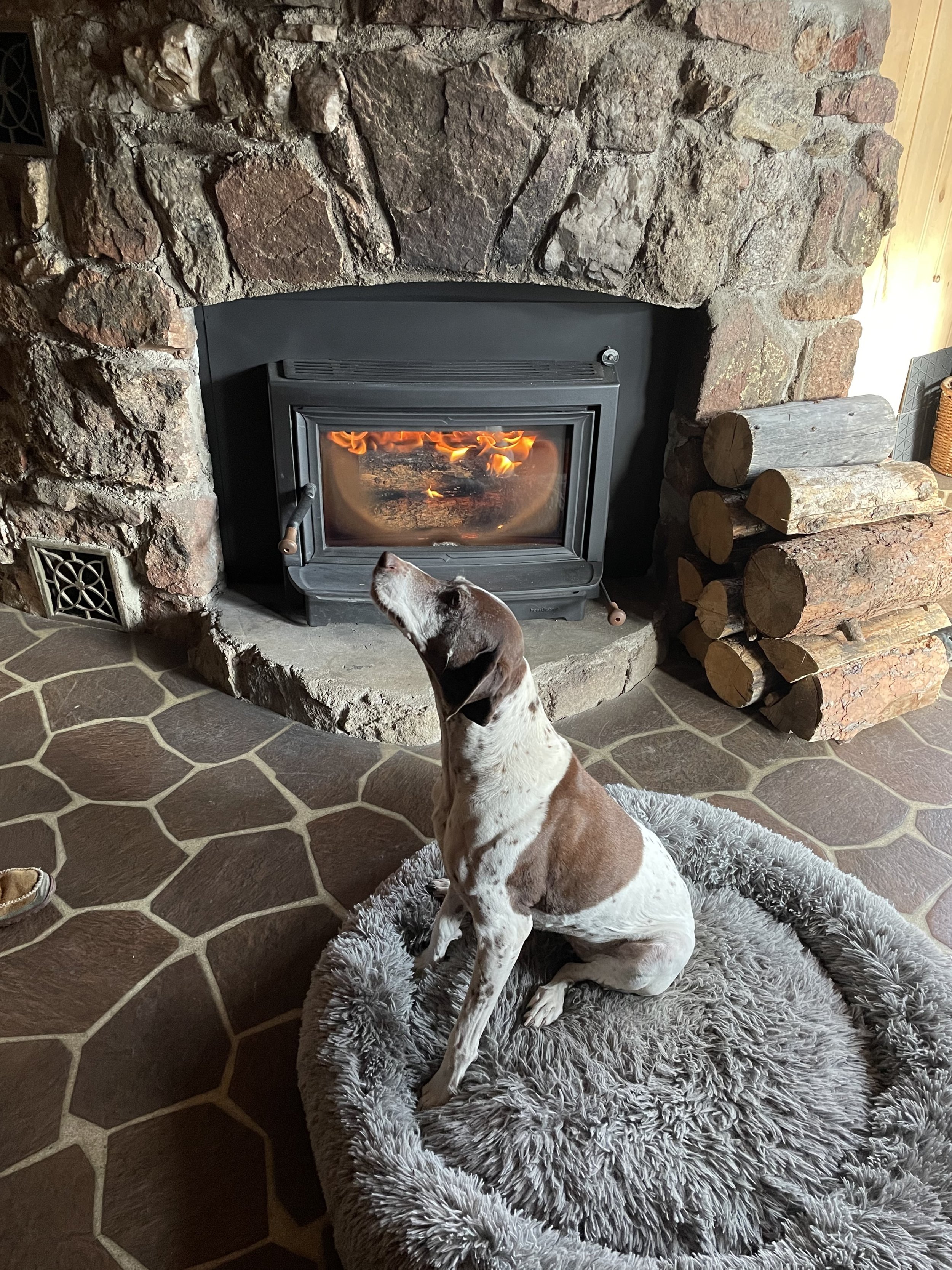 Hearthstone Clydesdale Woodstove Insert Professionally installed by our EPA-Certified Technicians in Kittredge, CO - Pets.jpg