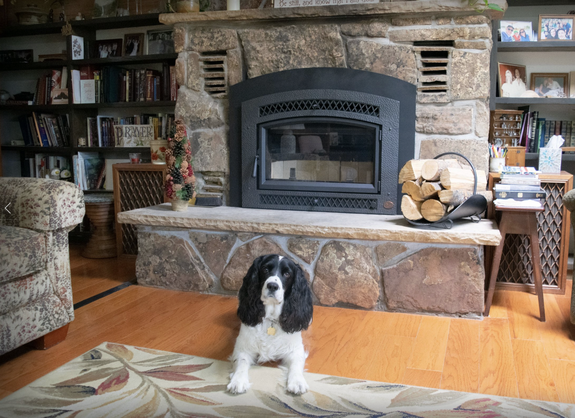 Fireplace Xtrordinair Large Flush