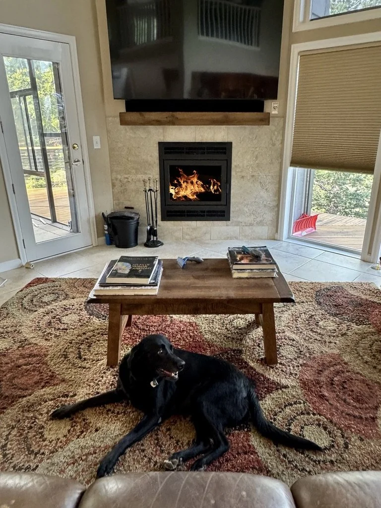 Ballard, Ambience Elegance 40 Wood Stove professionally installed in Evergreen, CO.jpeg