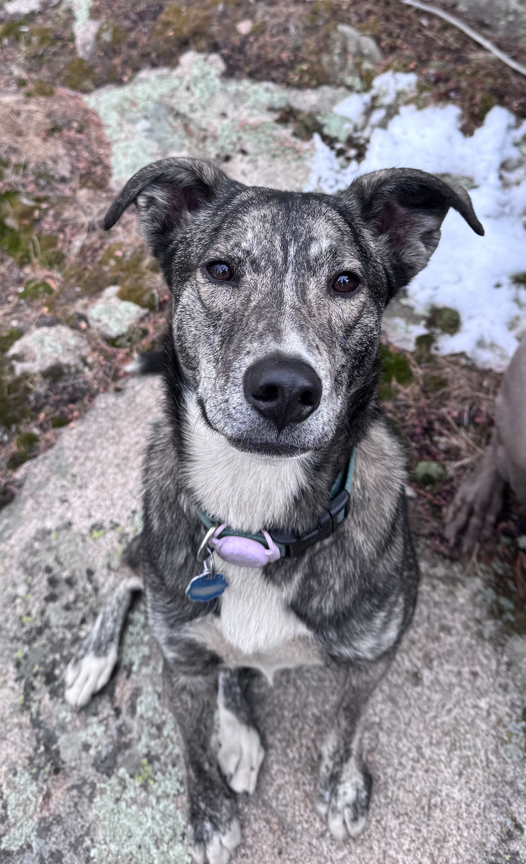 Ruby: Staff Meeting Entertainment Coordinator