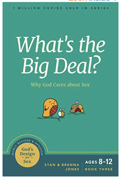 What's the Big Deal?: Why God Cares about Sex (God's Design for Sex Book 3)