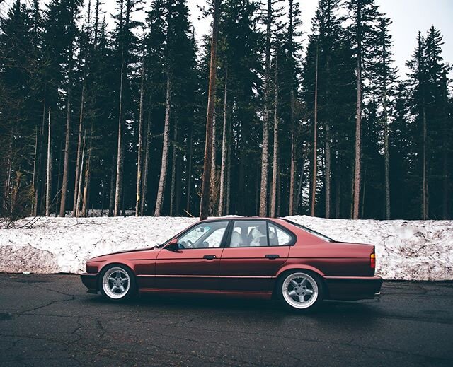 The Ultimate Family Sedan.
Swipe to see dog parenting at its finest. 🙈
.
#bmw #e34 #m5 #e34m5 #calypsoclique #nikon #longlivethe90s