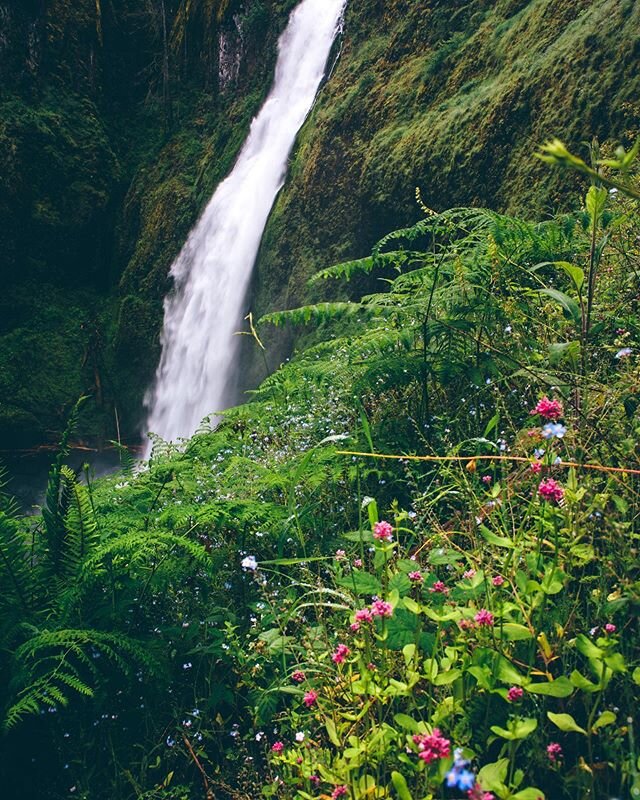 Oregon is ugly and boring. Do not visit here.
.
#memaloosefalls #oregon #pnw #exploregon #waterfall #wanderlust #nikon