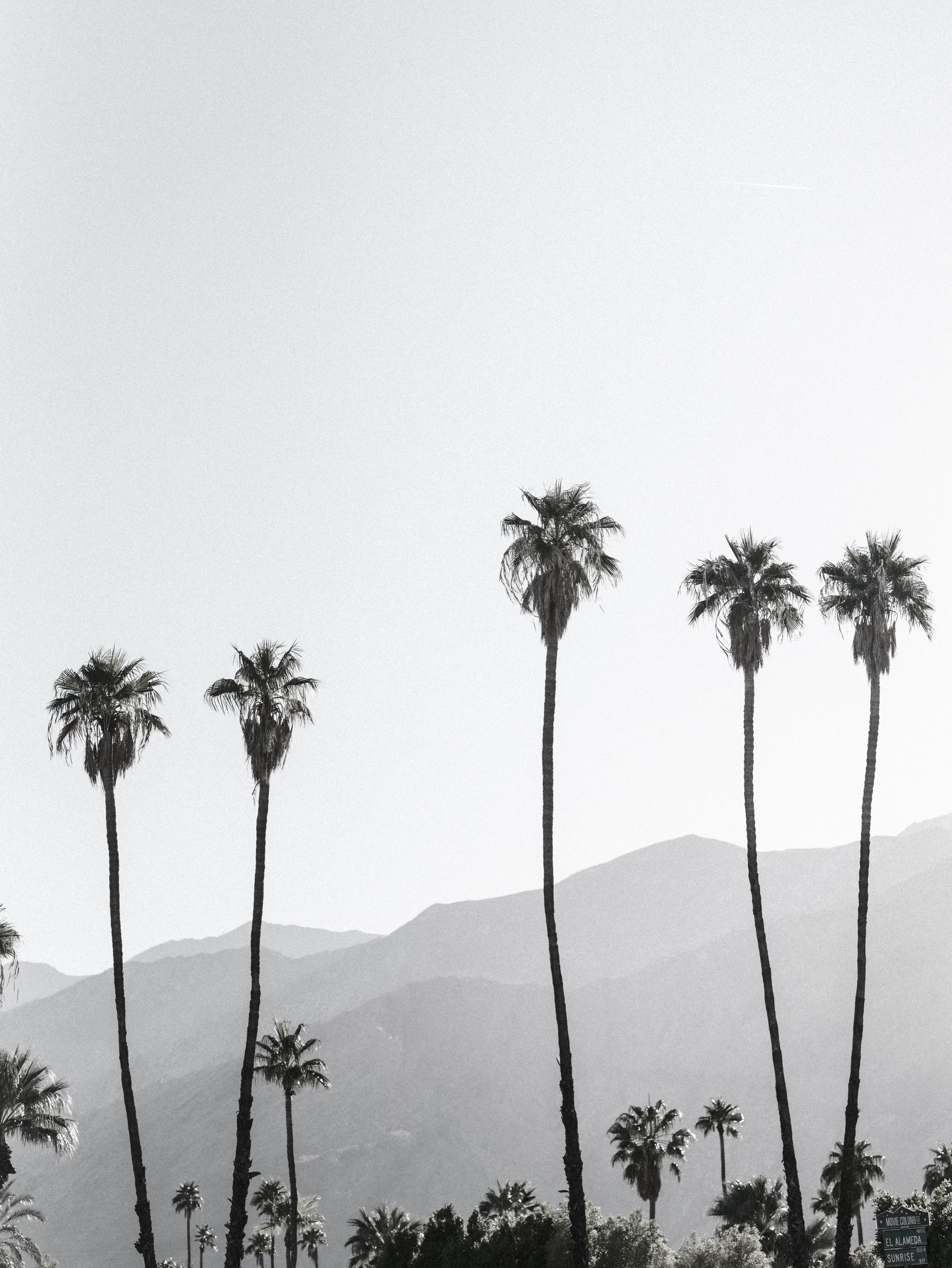 East coast for life and everything, but I doooo love a wedding weekend with a few California palm trees. And this airport cannot be beat ☝🏼